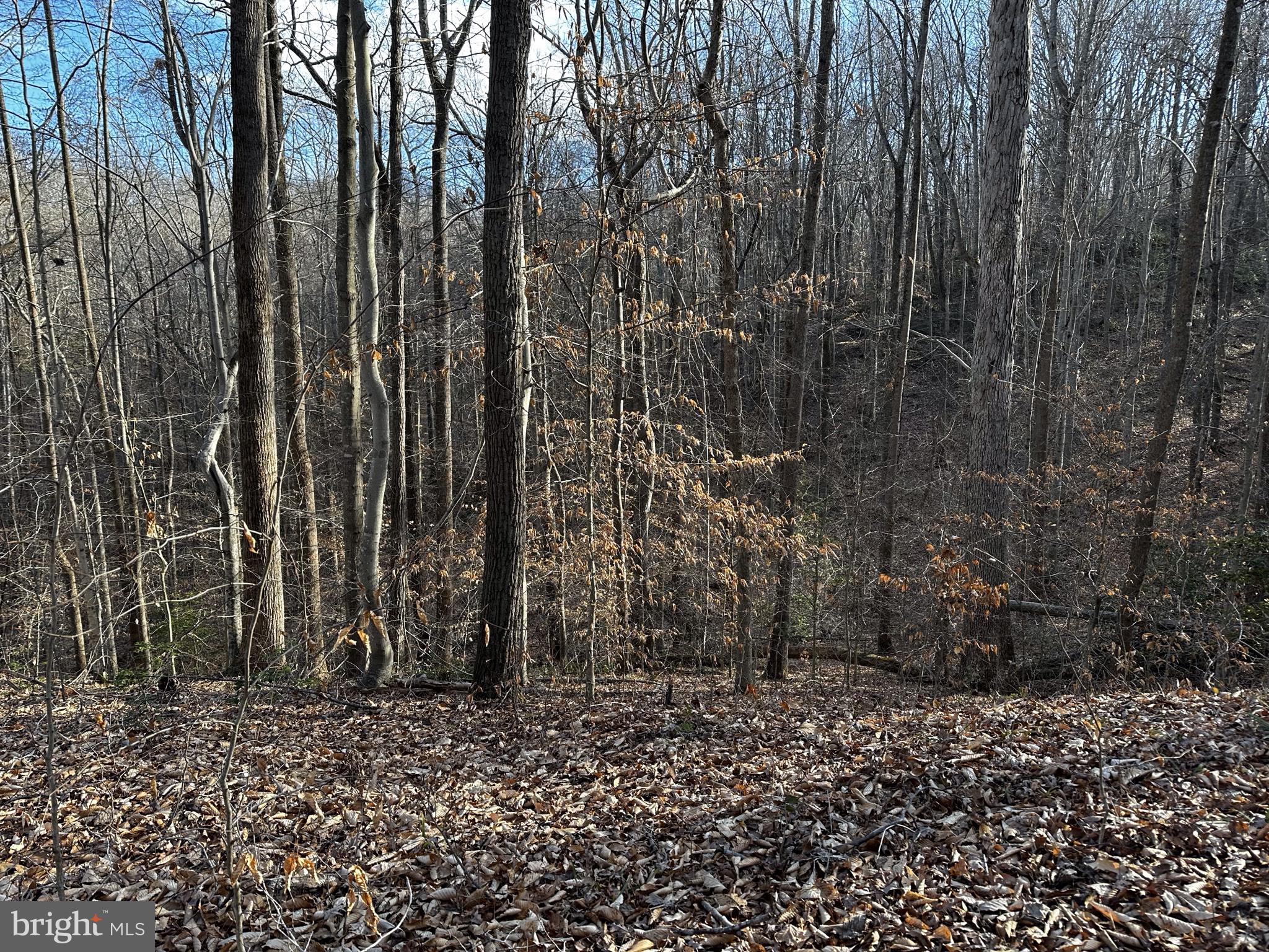 OCCOQUAN OAKS - Land