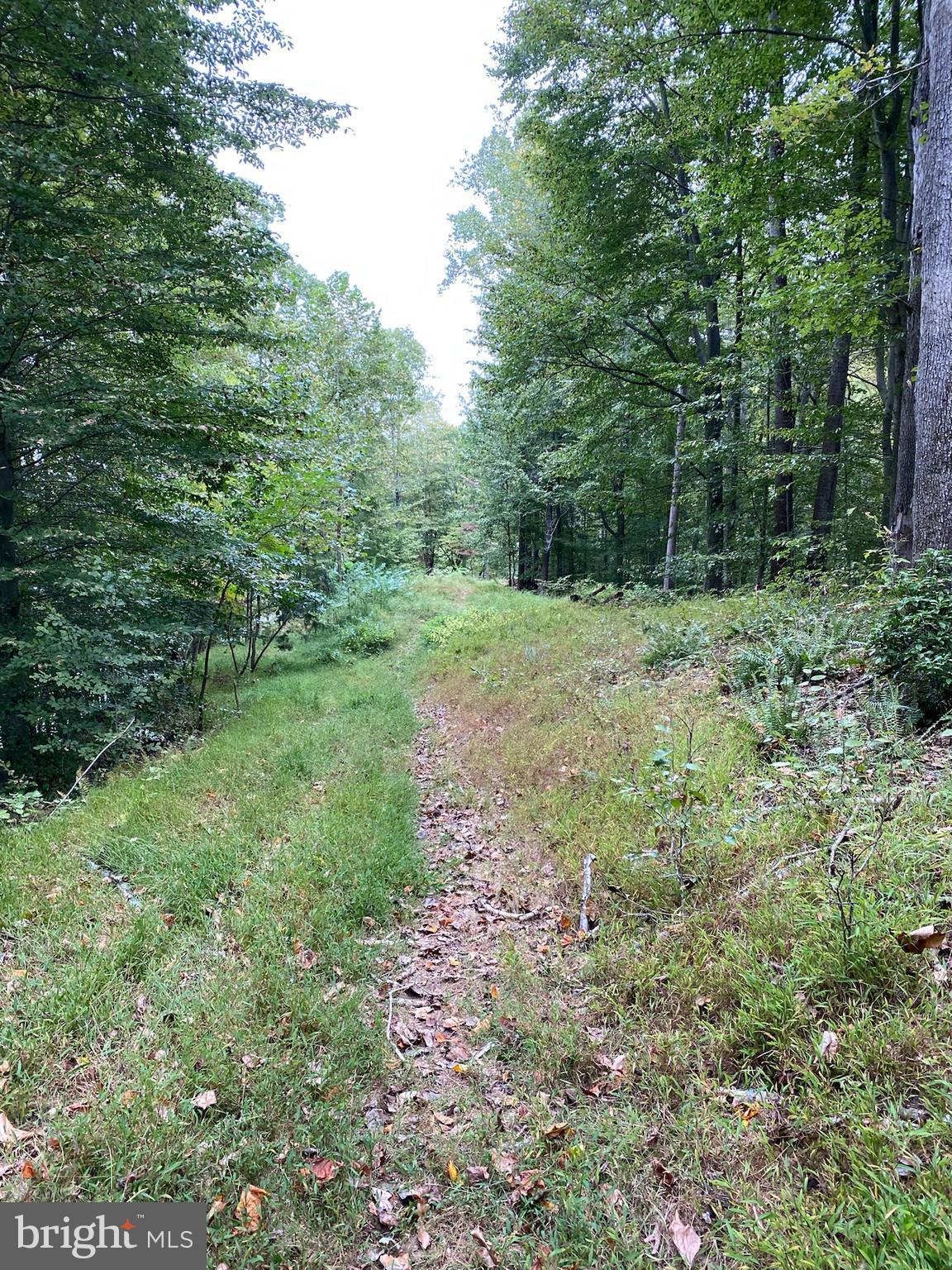 OCCOQUAN OAKS - Land