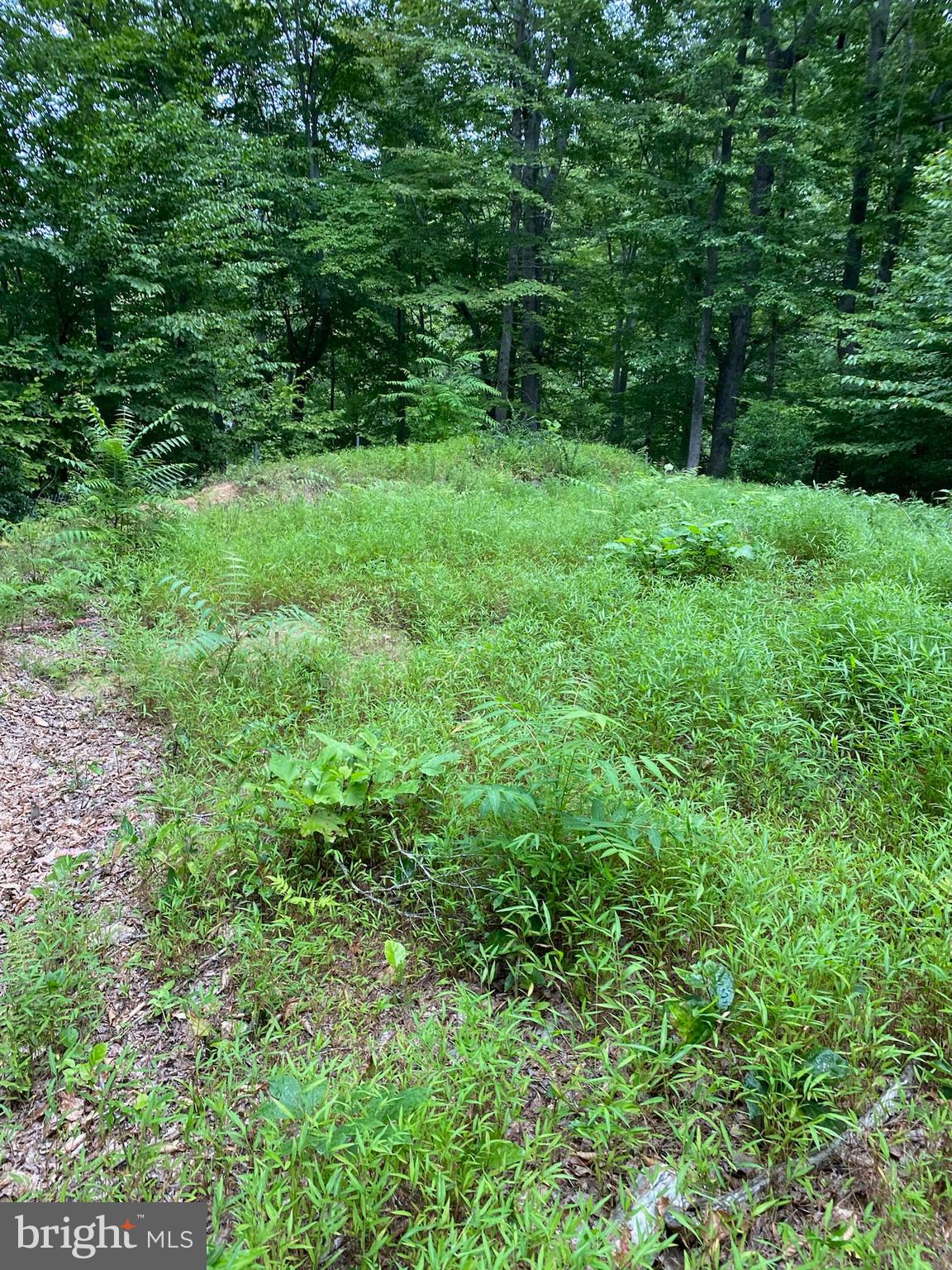 OCCOQUAN OAKS - Land