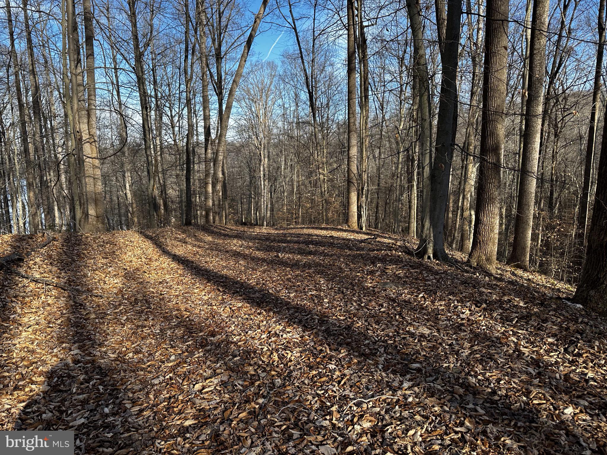 OCCOQUAN OAKS - Land