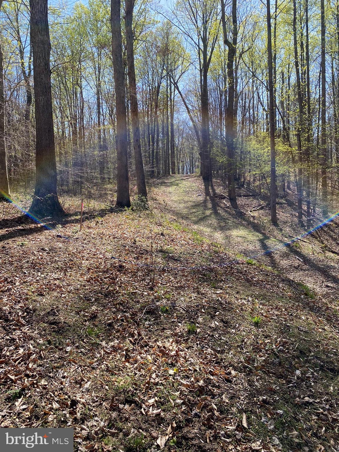 OCCOQUAN OAKS - Land