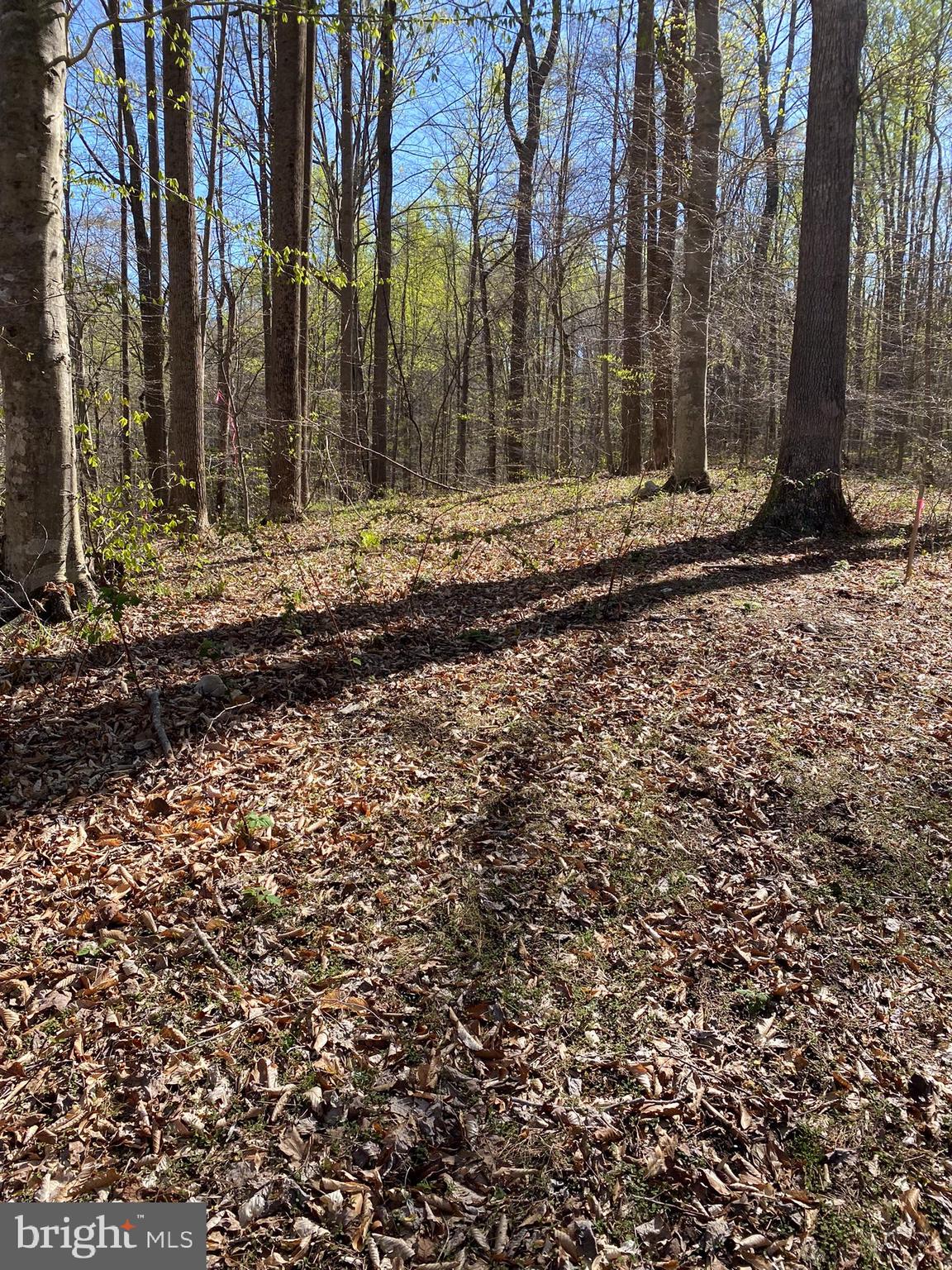 OCCOQUAN OAKS - Land