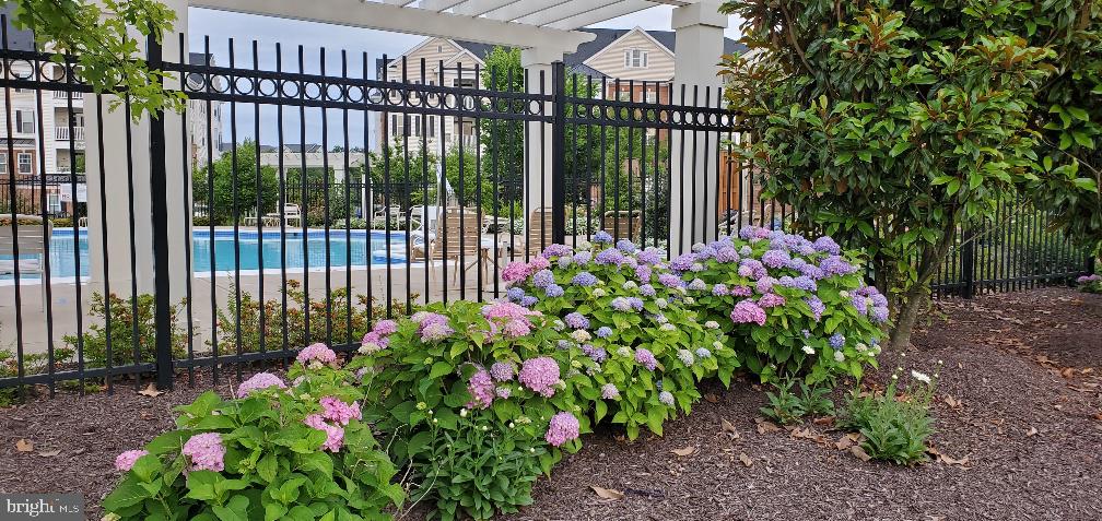 44589 YORK CREST TERRACE 300