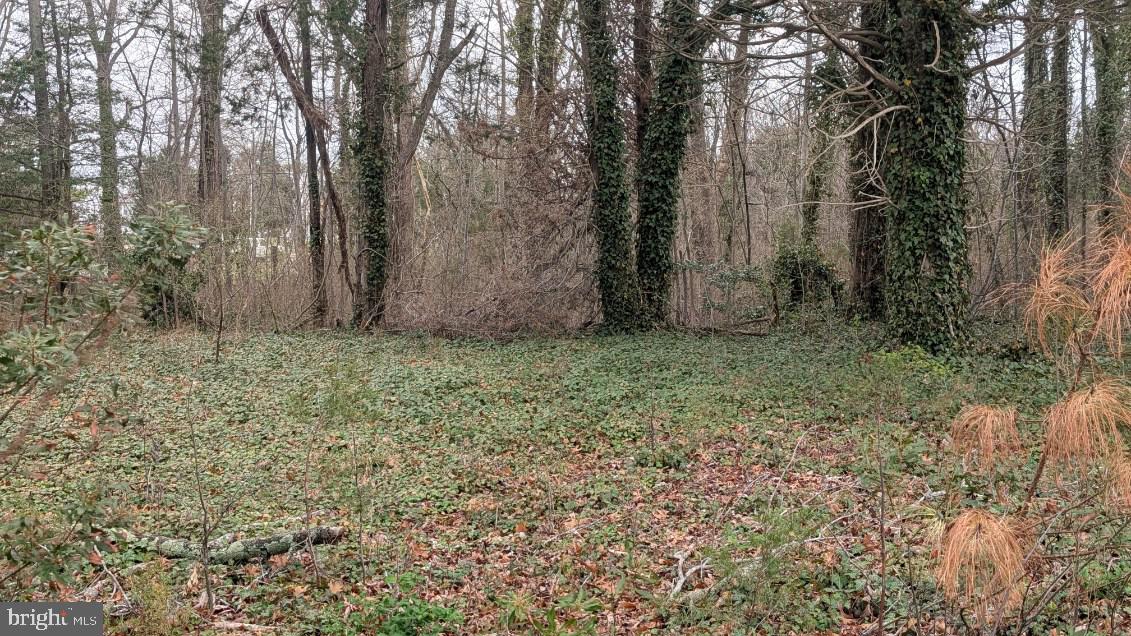 Lot 30Z CLUBHOUSE LOOP