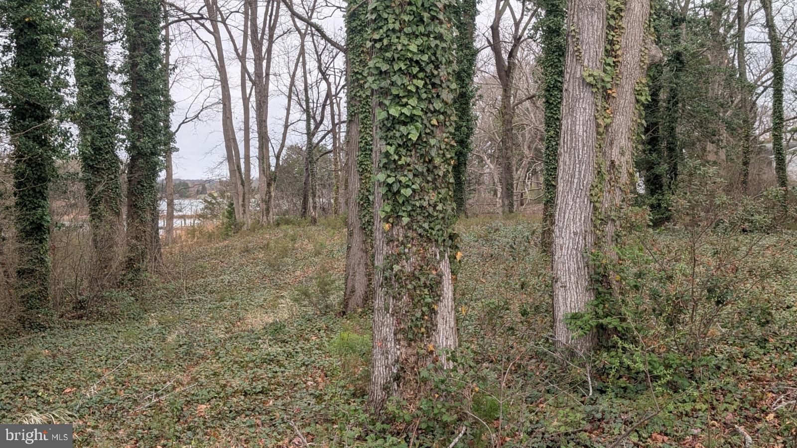 Lot 30Z CLUBHOUSE LOOP