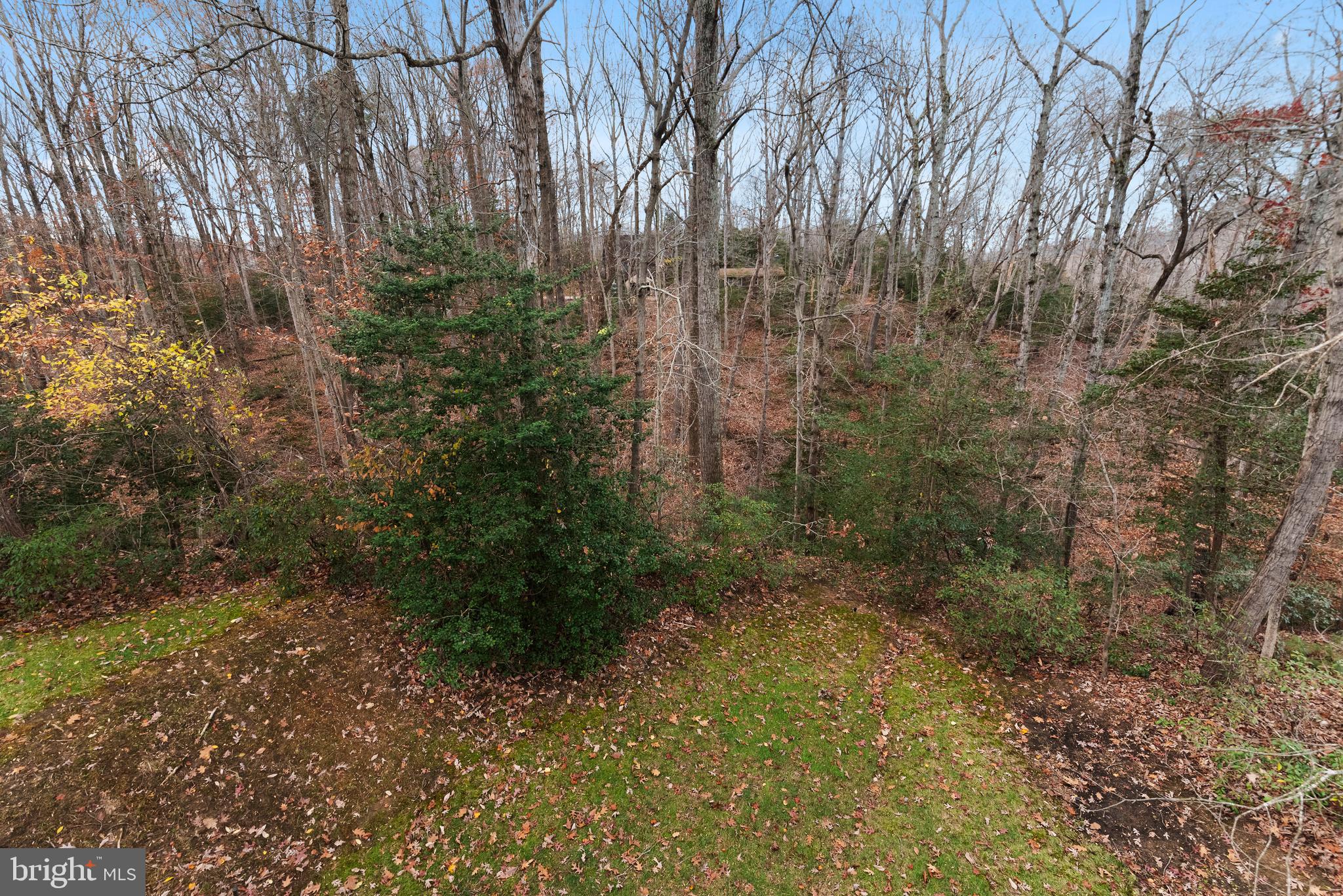 NORTH RIVER FOREST - Residential