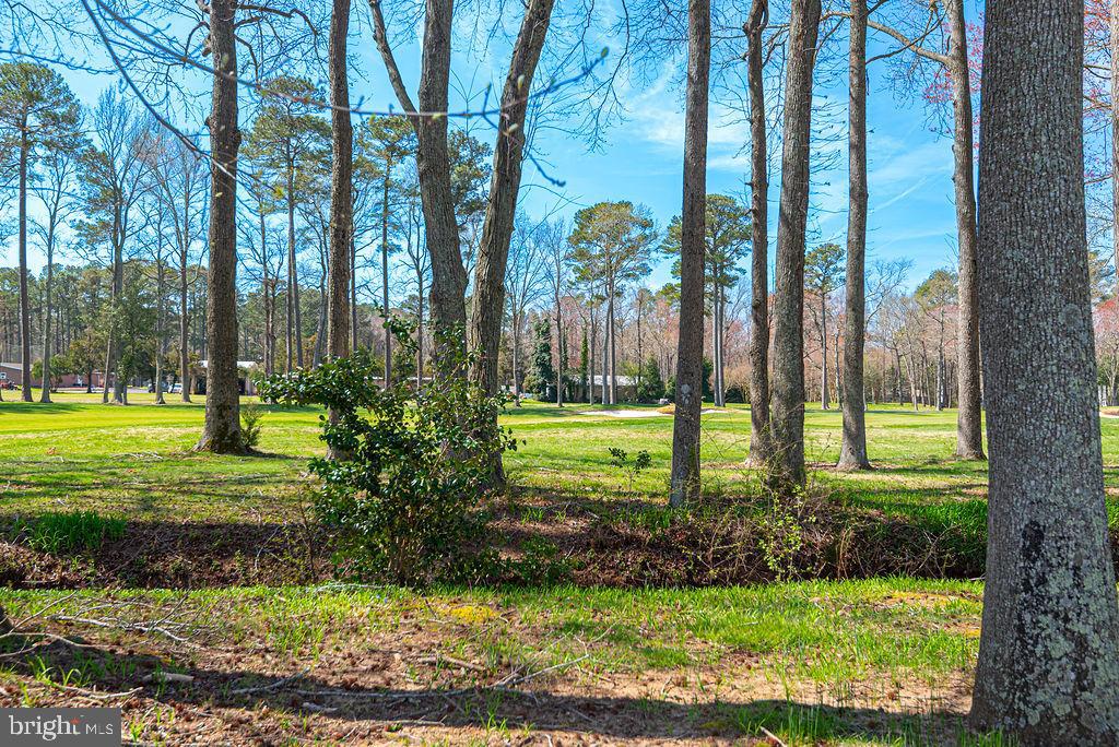 OCEAN PINES - TEAL BAY - Residential