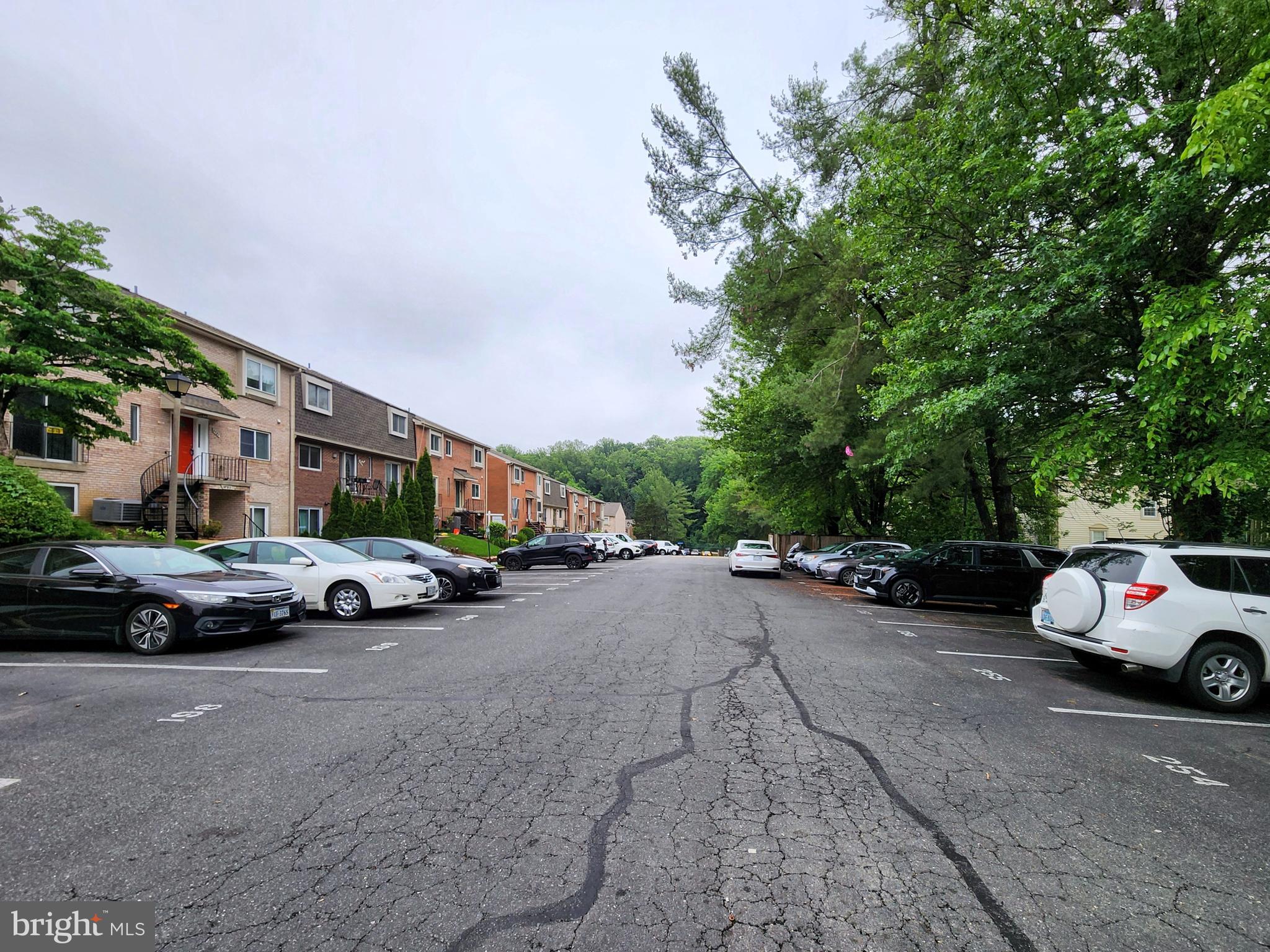 TERRACE TOWNE HOMES OF WOODLAWN - Residential