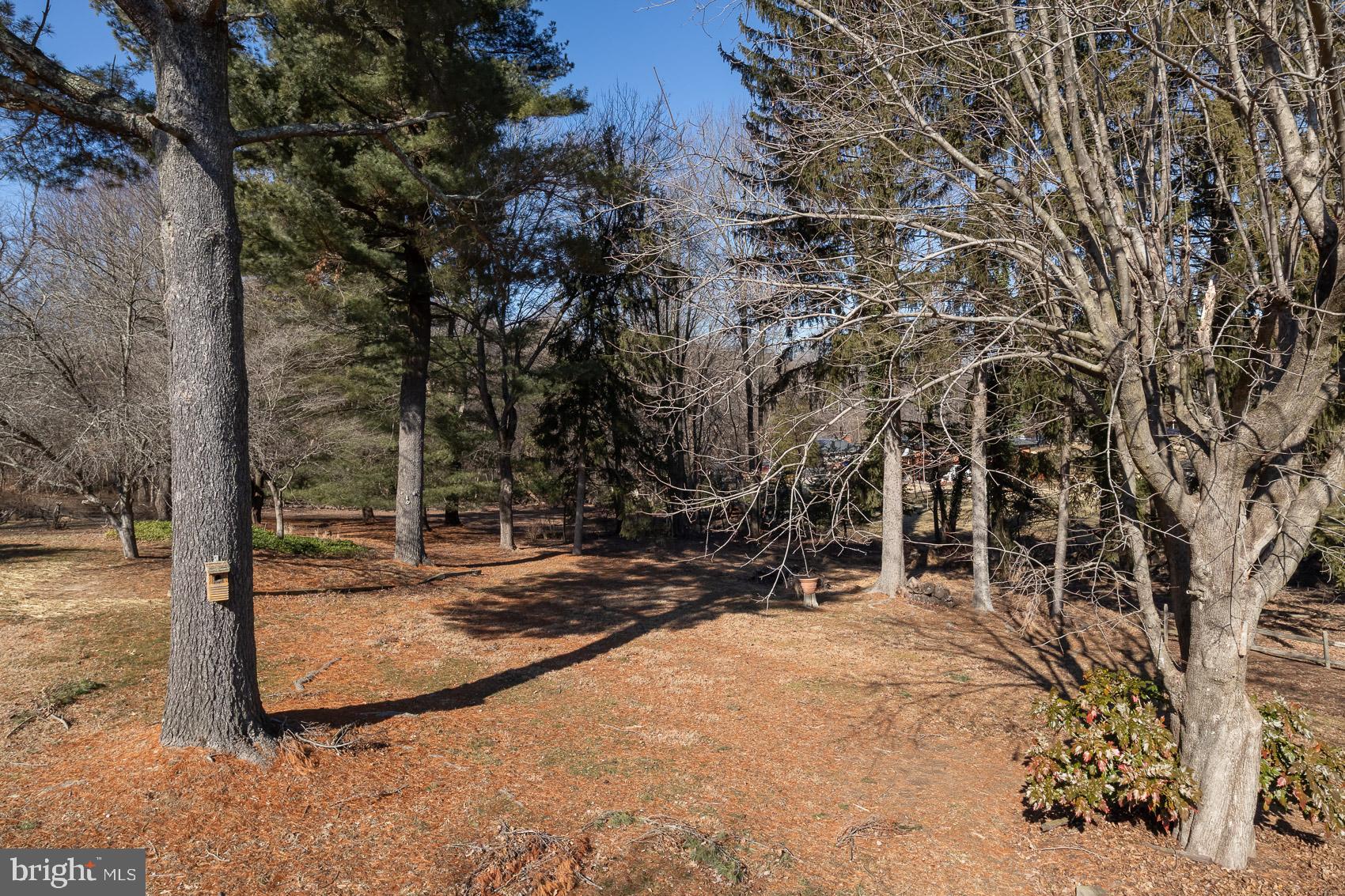 WHITE HOUSE PARK - Residential