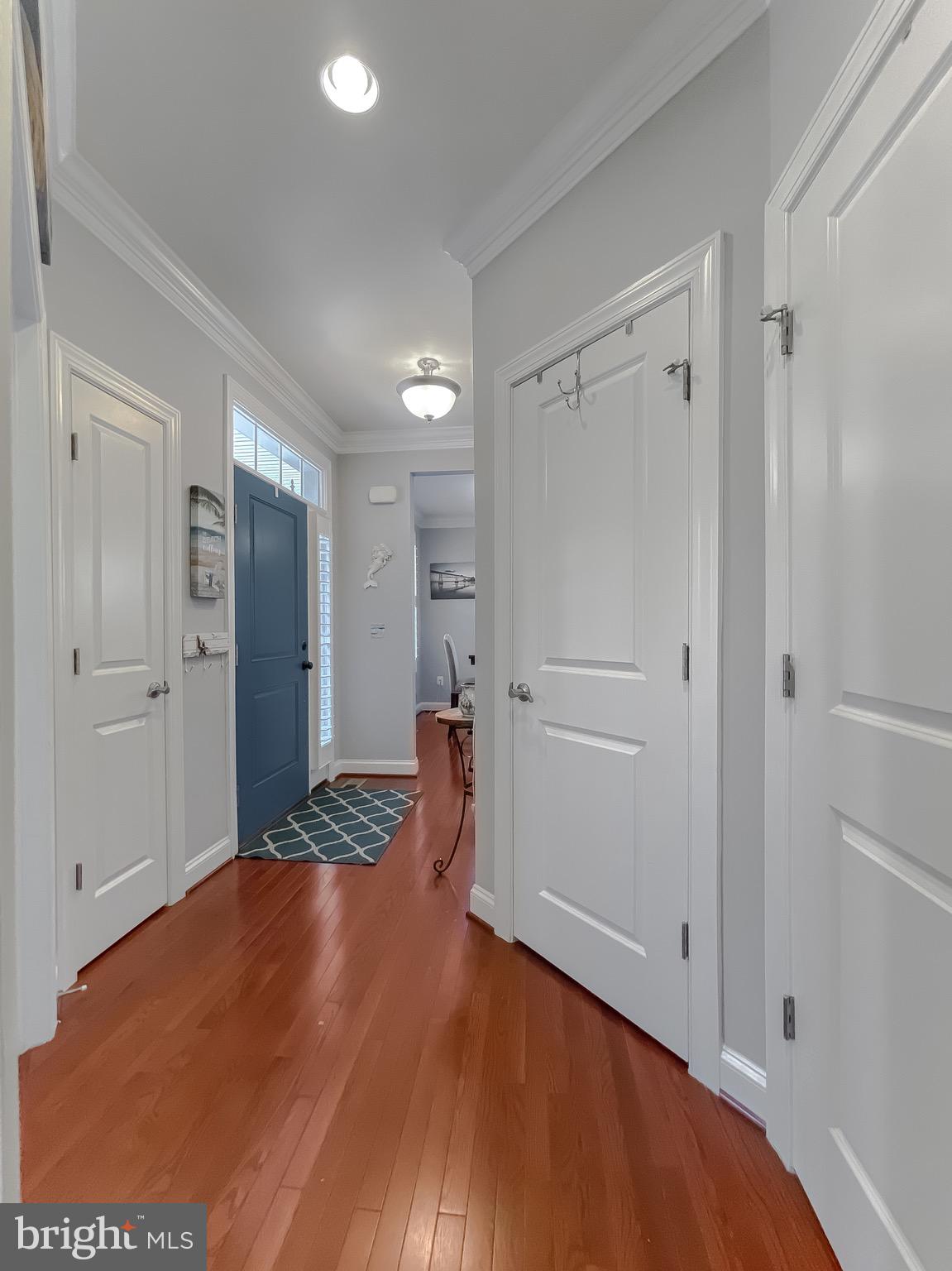 THE VILLAGES OF STEEPLECHASE - Residential