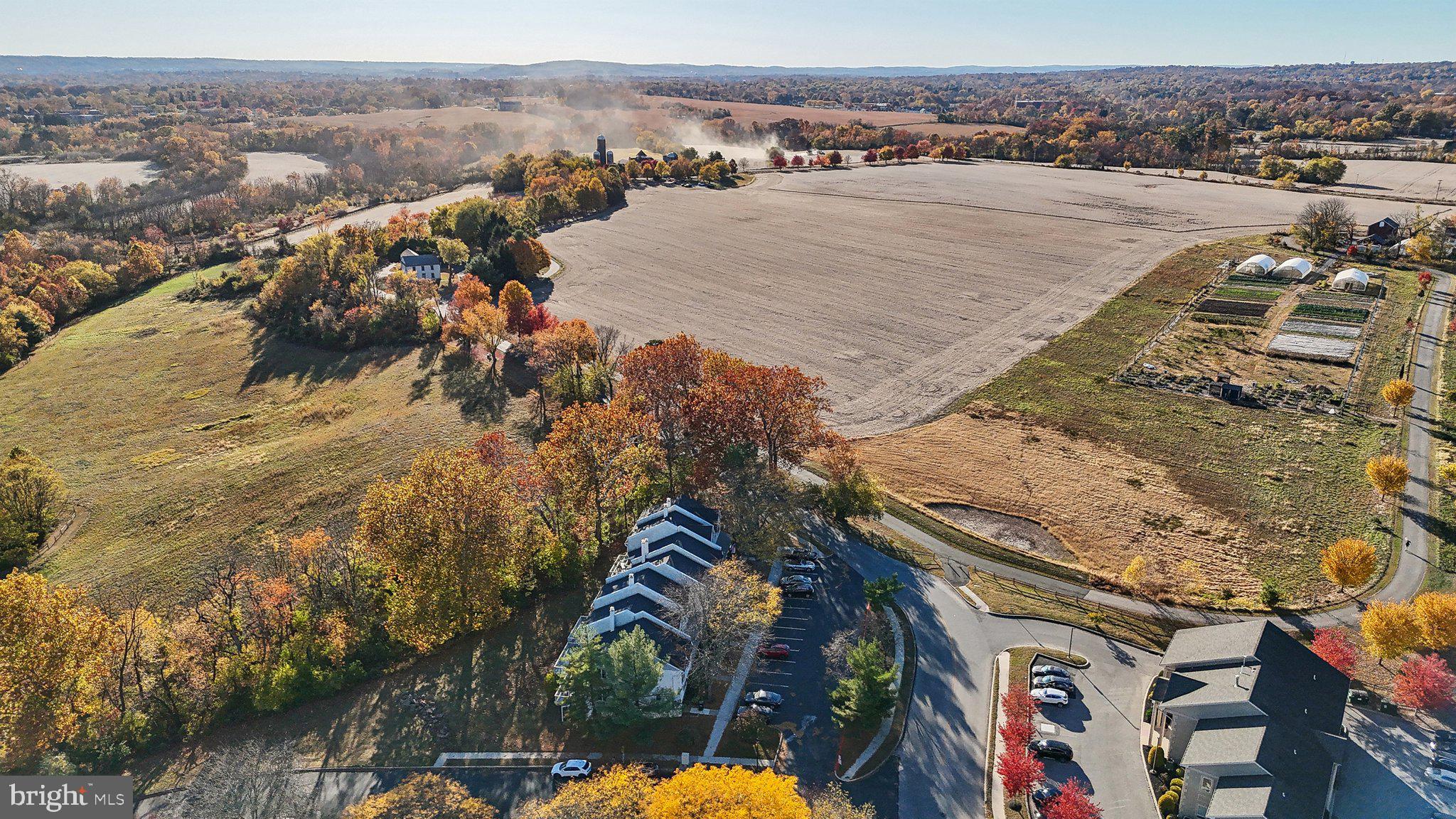 BARLEY SHEAF - Residential