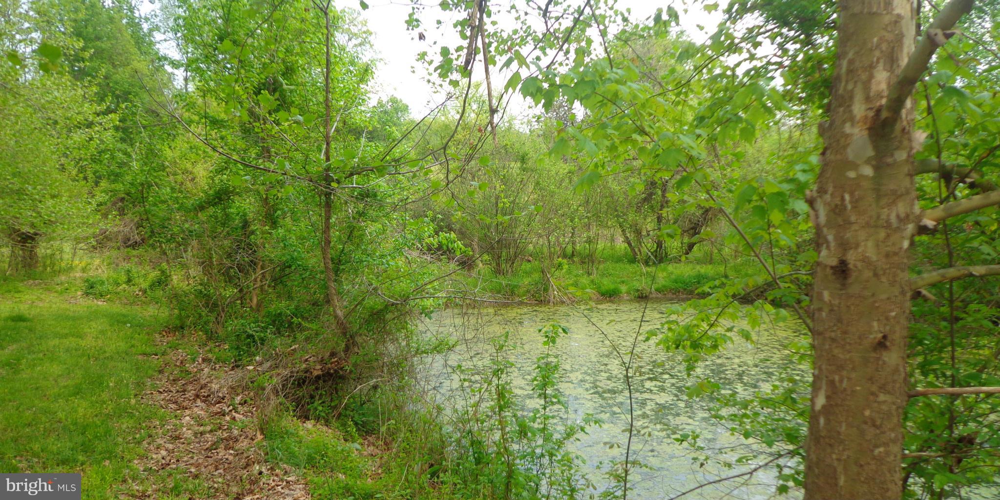 KAVANAUGH MEADS - Residential