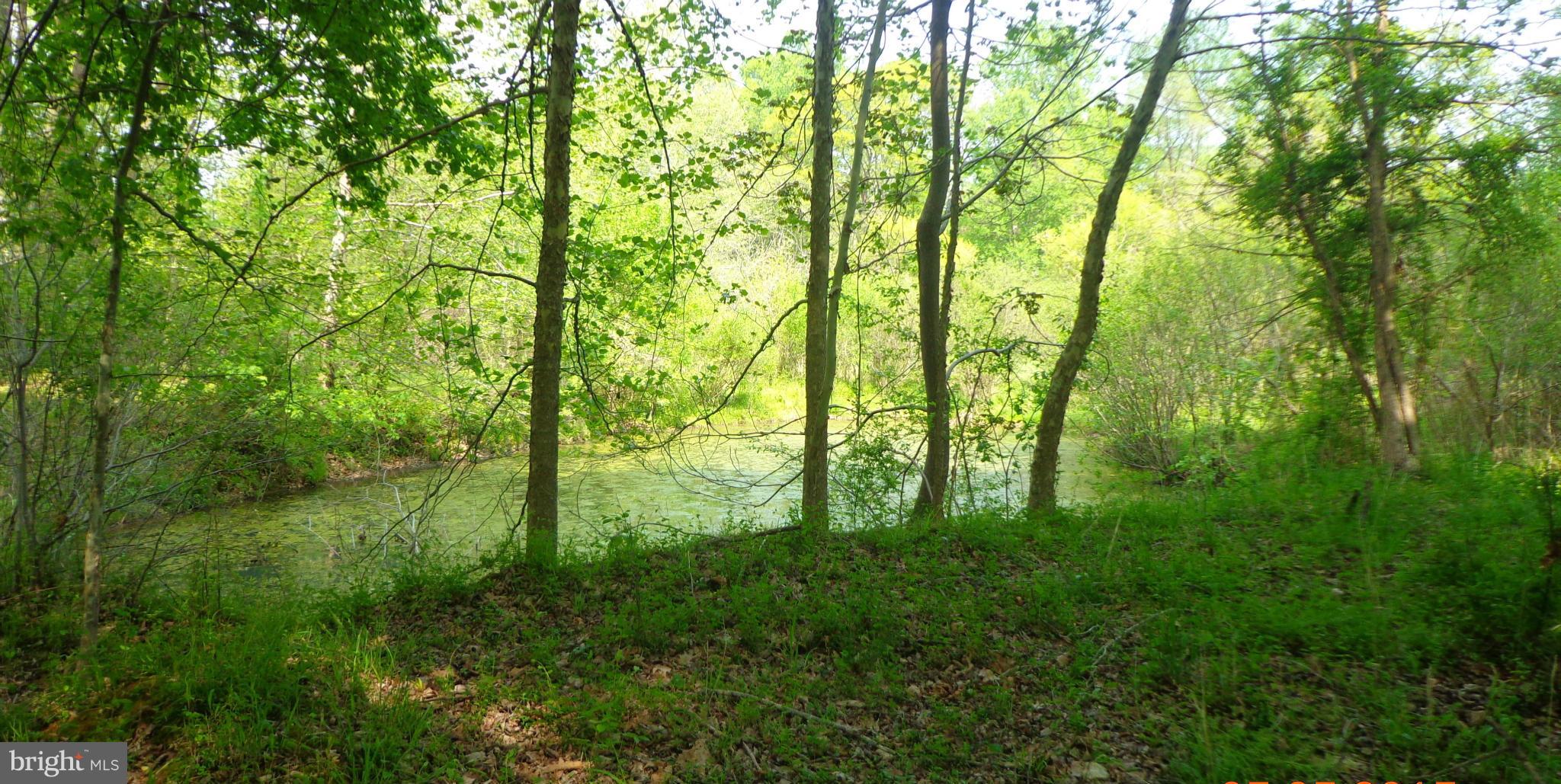 KAVANAUGH MEADS - Residential