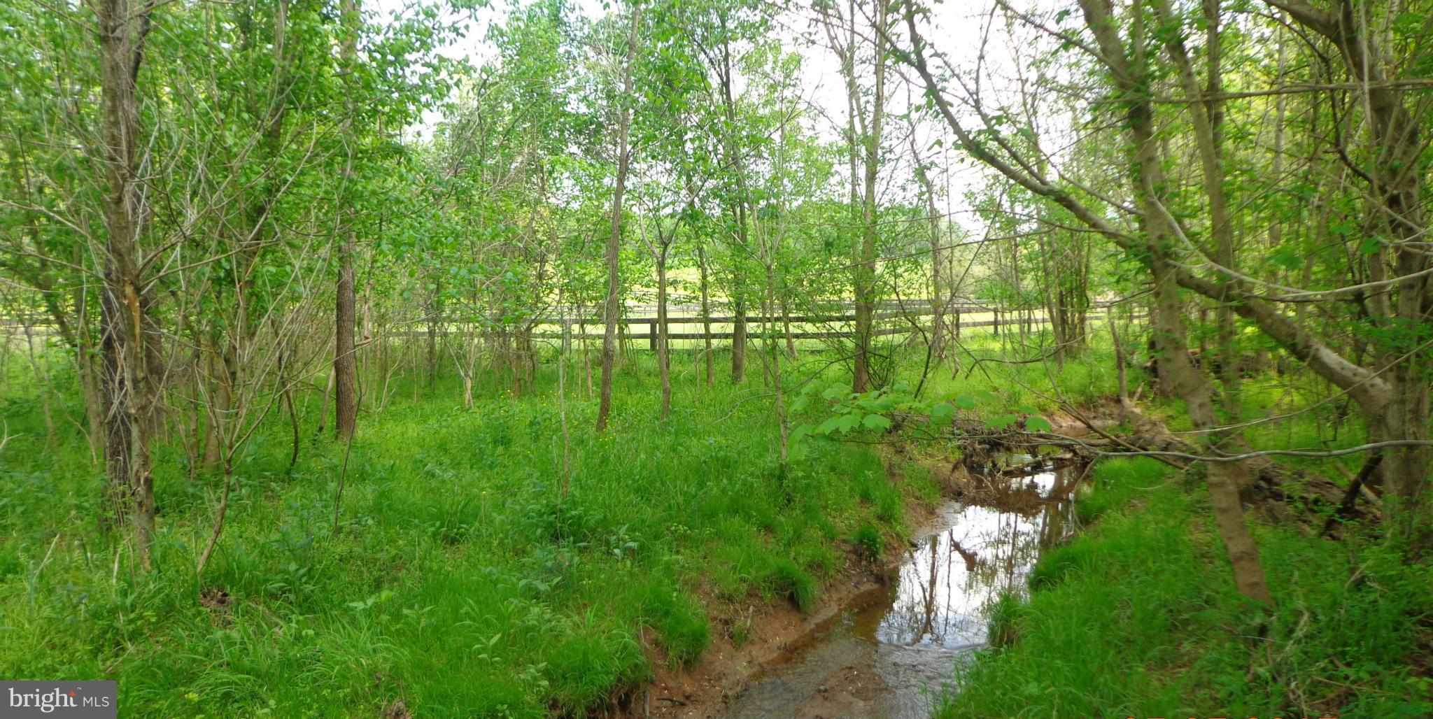 KAVANAUGH MEADS - Residential