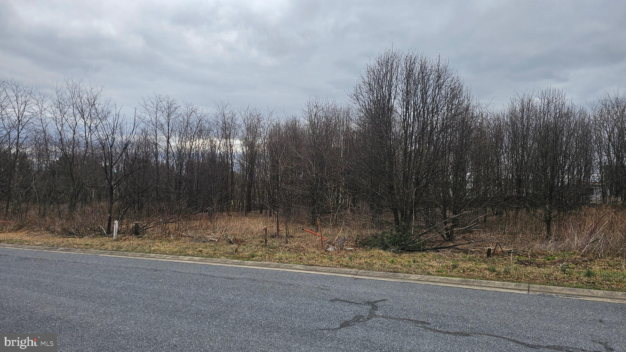 LOT 19 BUCHANAN DRIVE