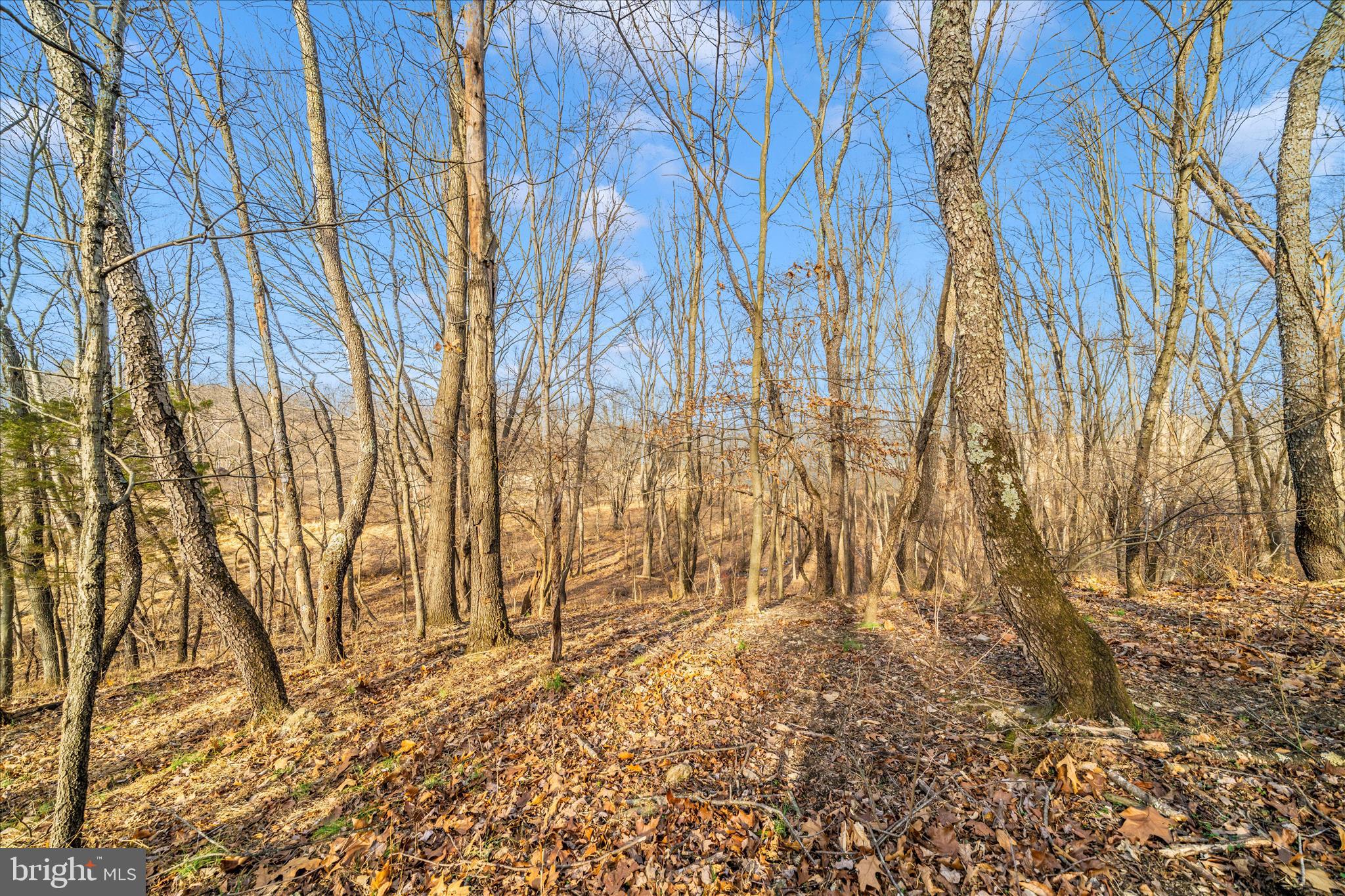 MT AIRY ESTATES - Residential