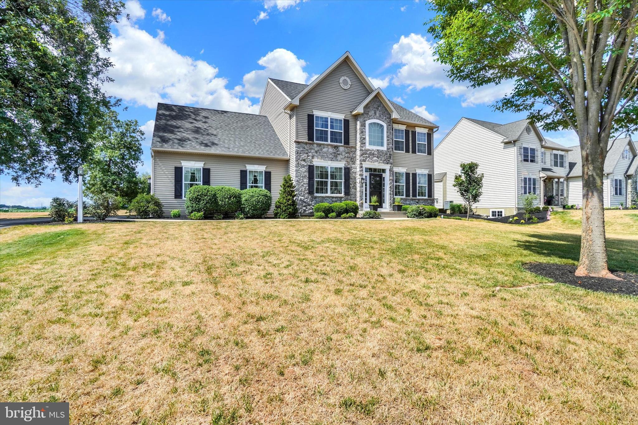 981 BUCKWALTER ROAD