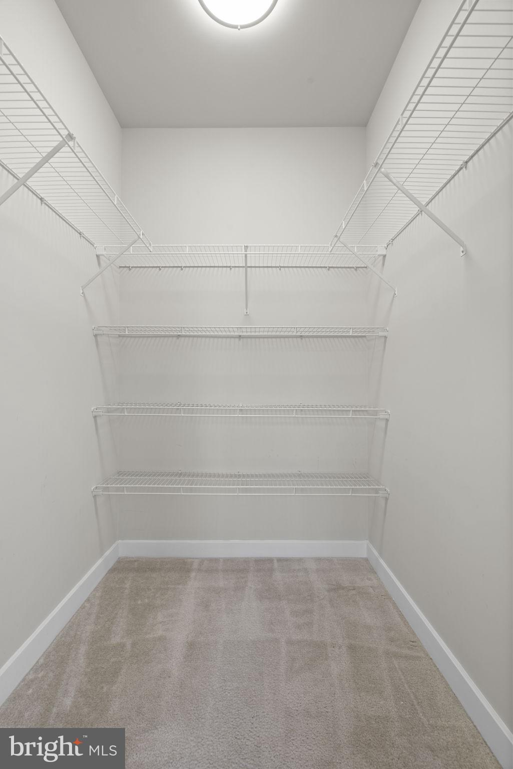 TRAFALGAR FLATS - Residential Lease