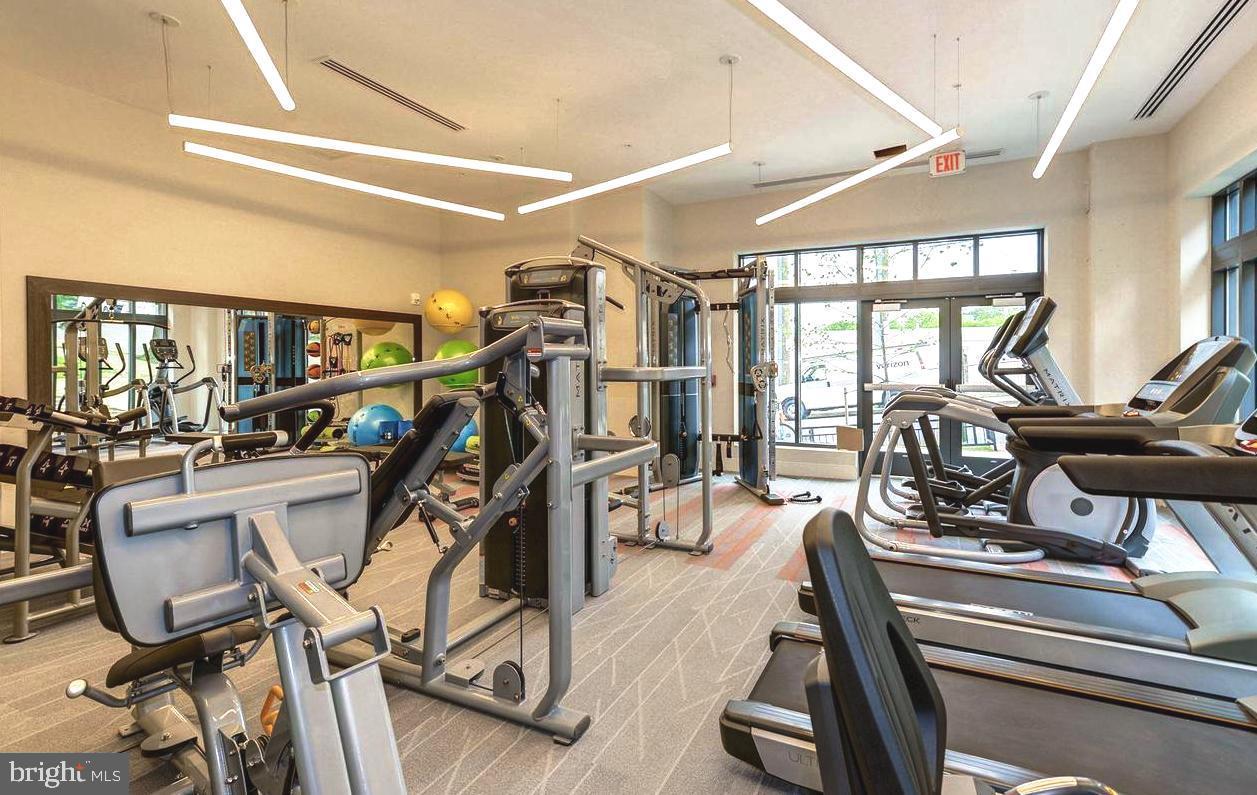 TRAFALGAR FLATS - Residential Lease