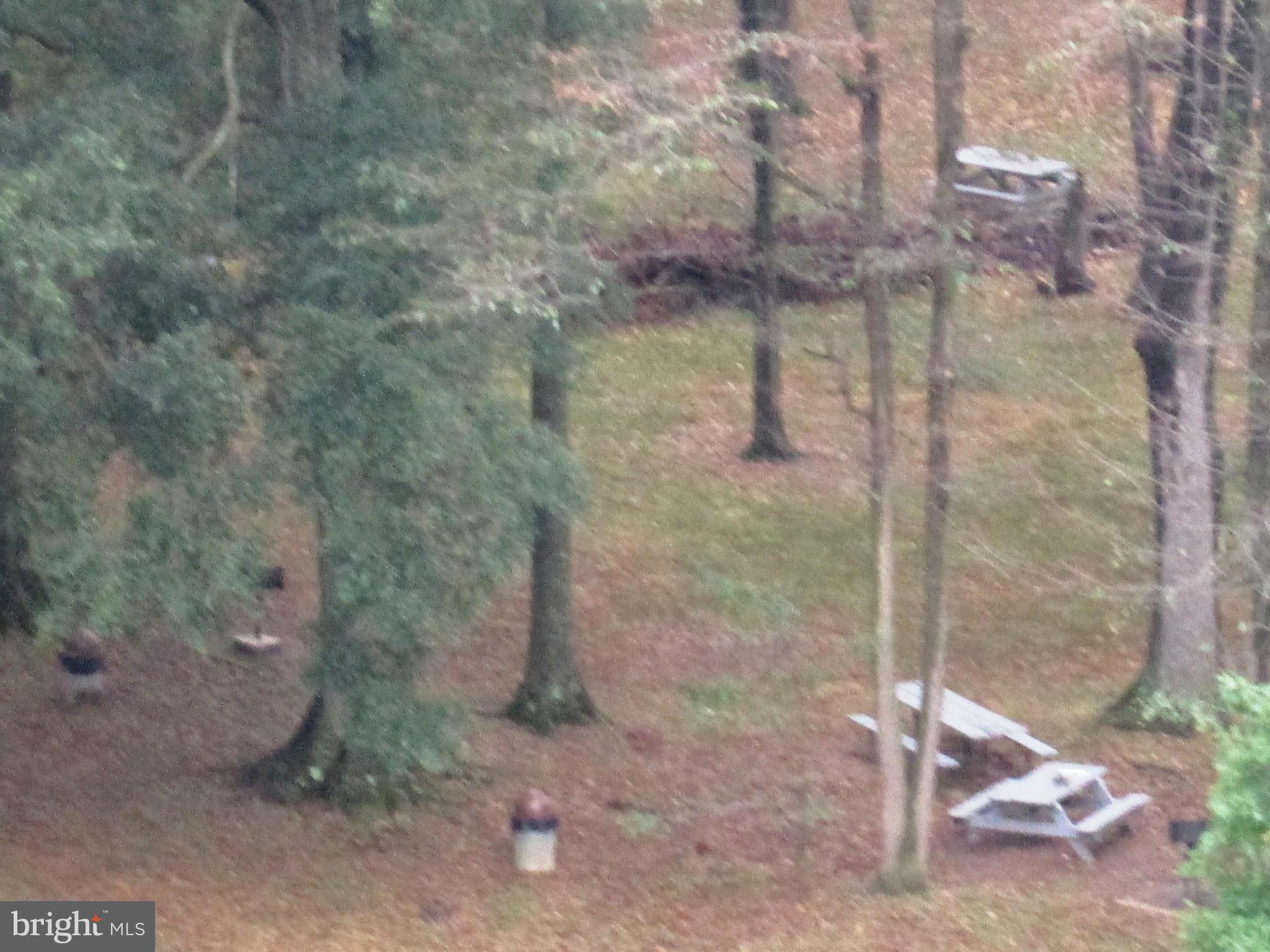 RIVER TOWERS - Residential