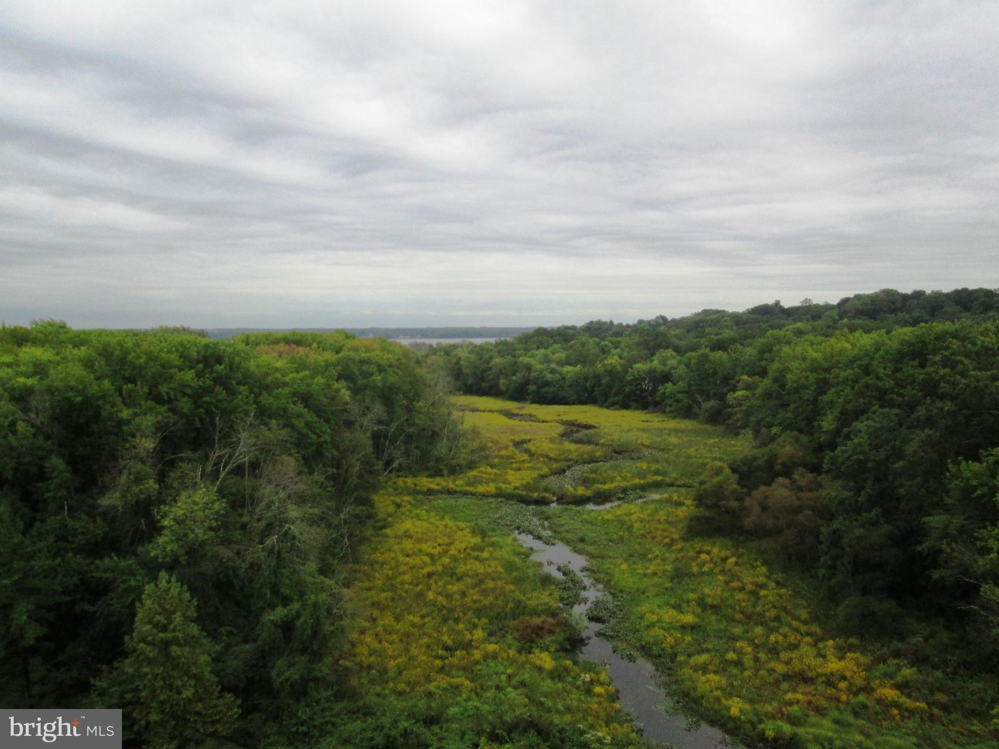 RIVER TOWERS - Residential
