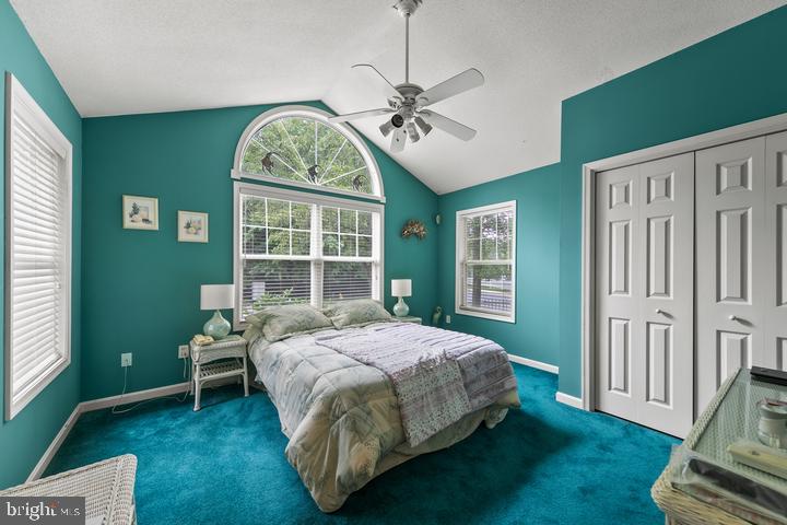 37 MARY ELIZABETH DRIVE