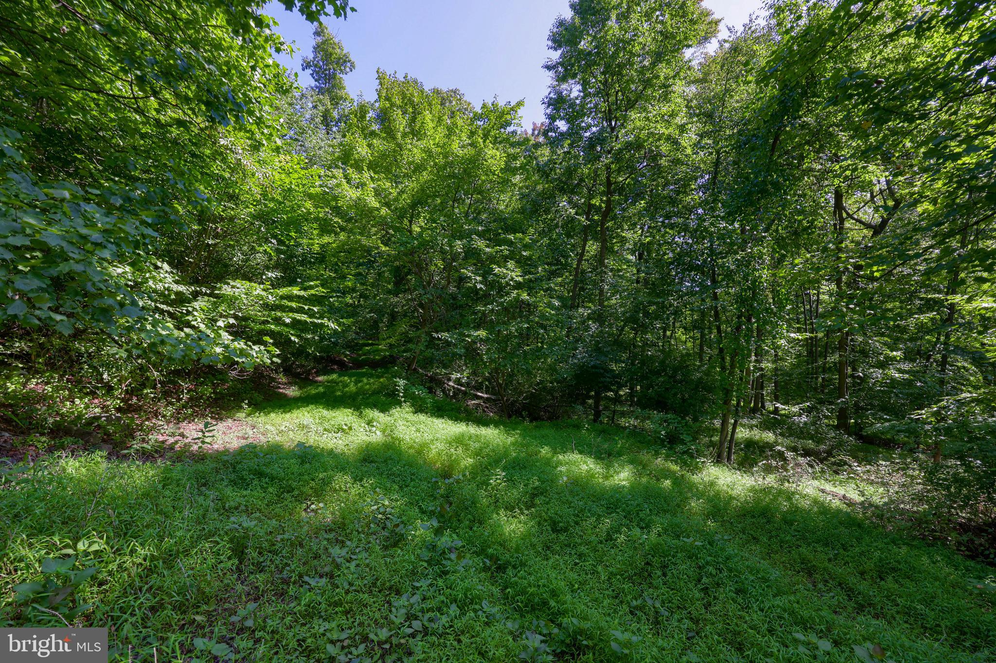 865 MINE RD