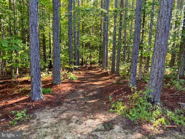 ANDERSON MILL - Residential