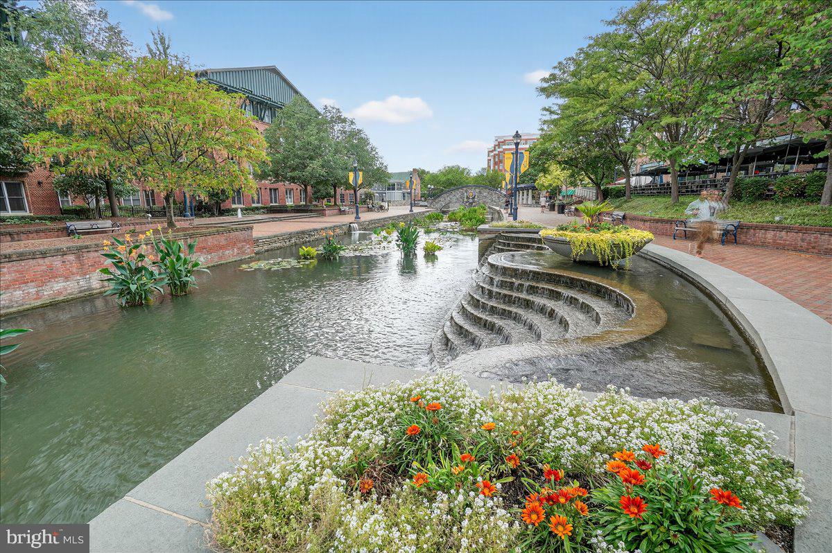 FREDERICK HISTORIC DISTRICT - Residential