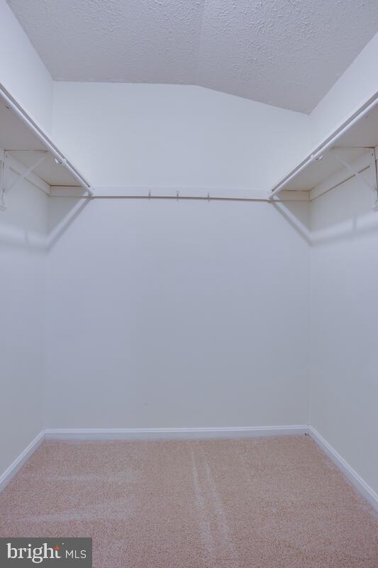 EUTAW FOREST - Residential