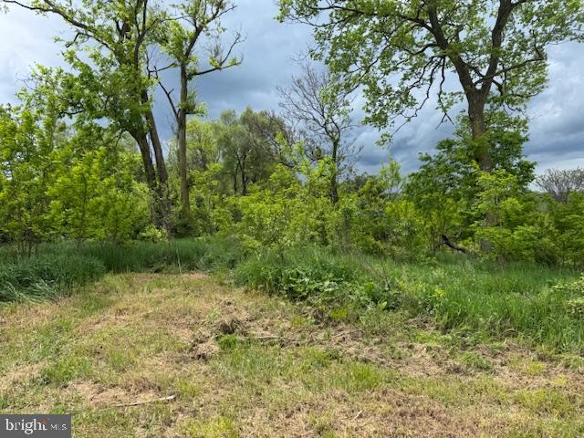 NONE AVAILABLE - Land