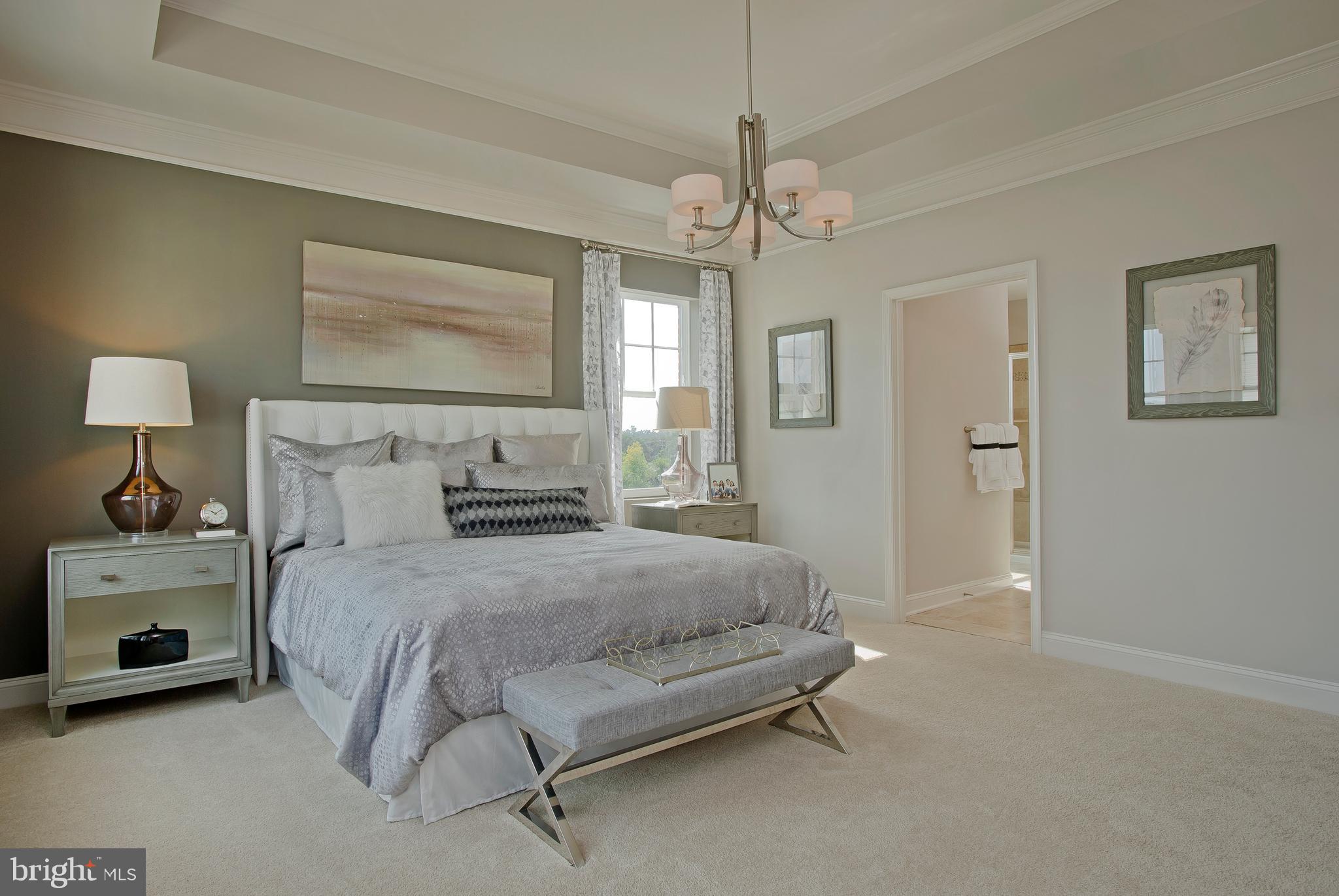 BLUE STREAM - Residential