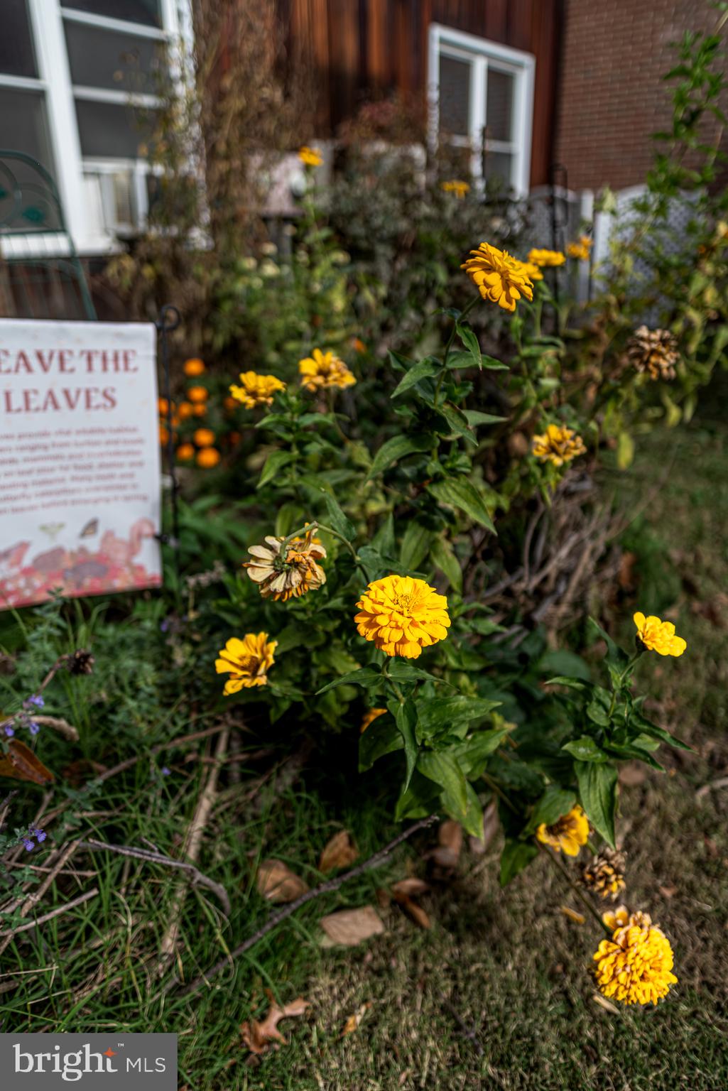 HISTORIC HAVRE DE GRACE - Residential Lease