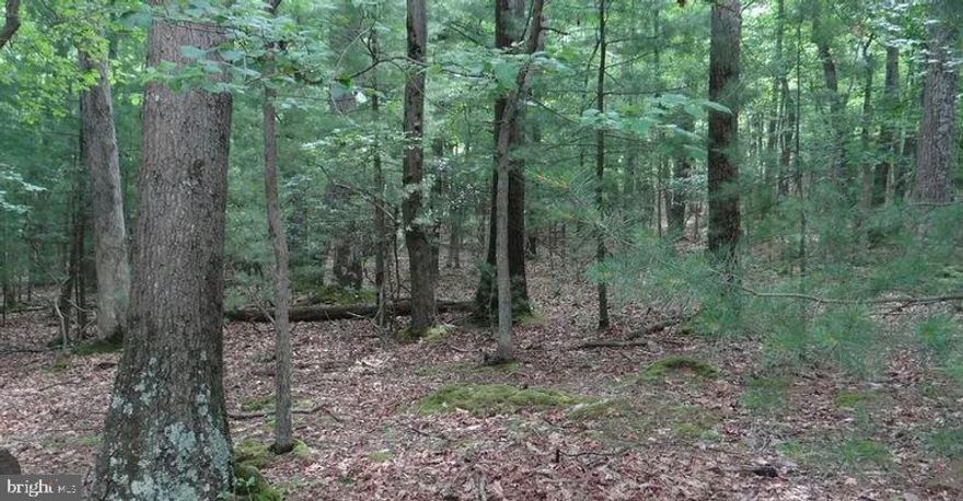 RE/MAX sign on property.   2.07 acres.  Private road.  There is NOT an on-lot source of water.   Electricity is available.  No public water and sewer.  There is a voluntary HOA that accepts $100/year.