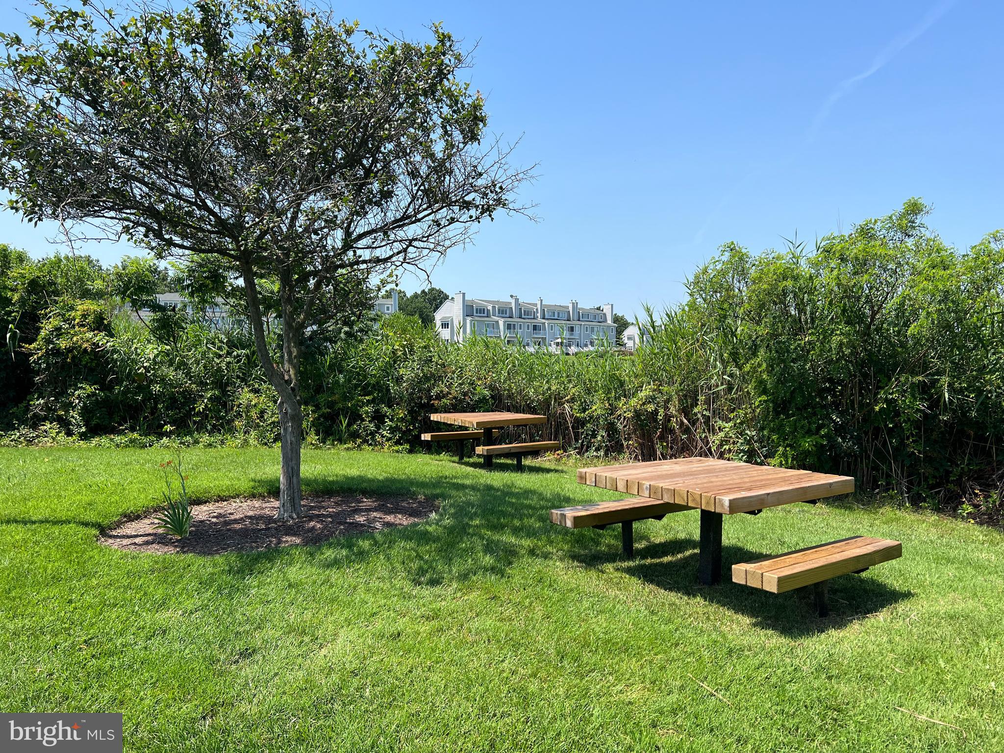 OYSTER COVE - Residential