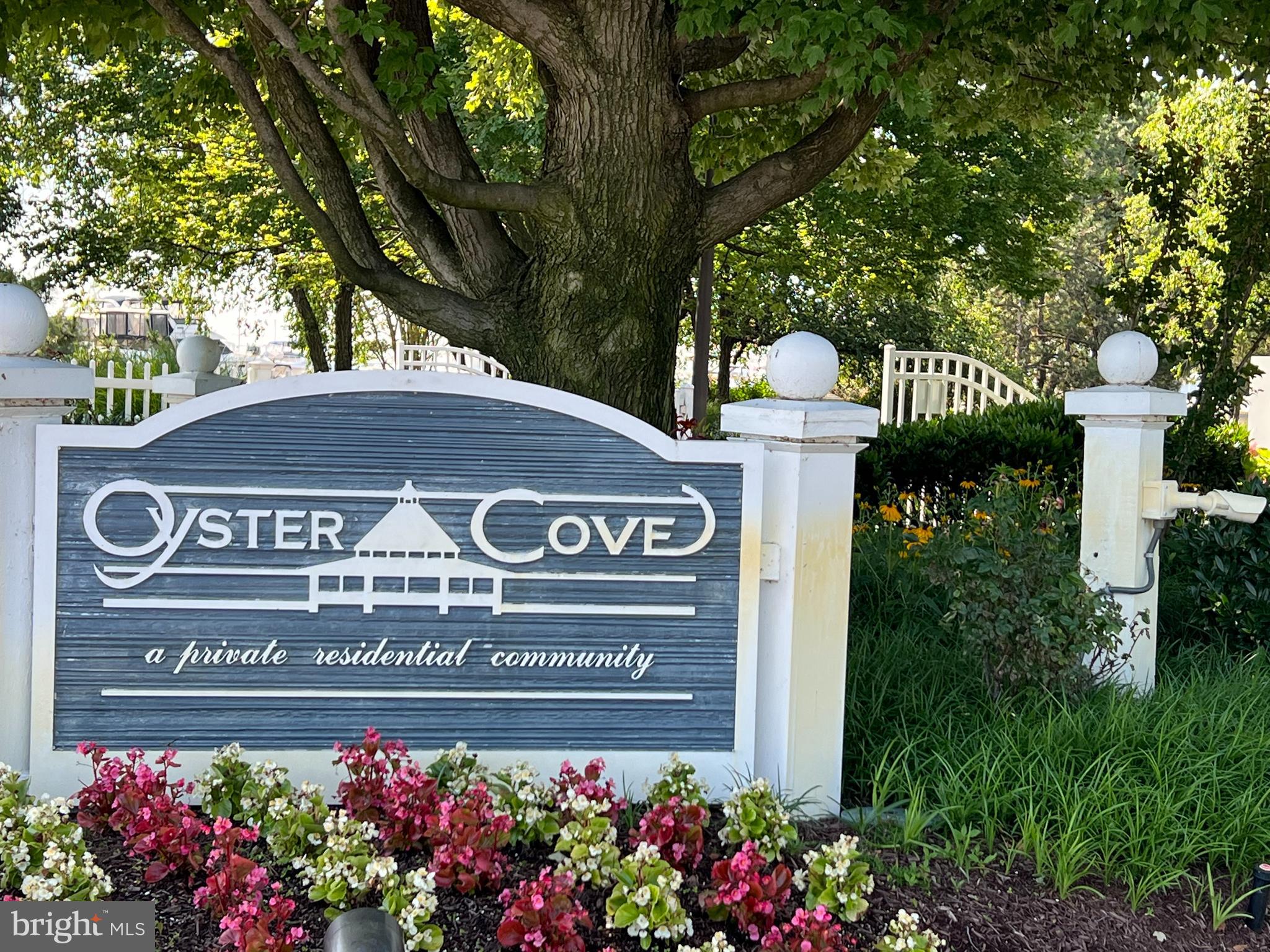 OYSTER COVE - Residential