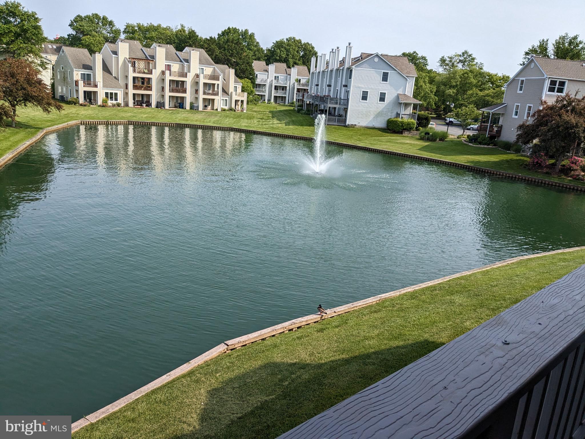 BAYSIDE MARINA - Residential