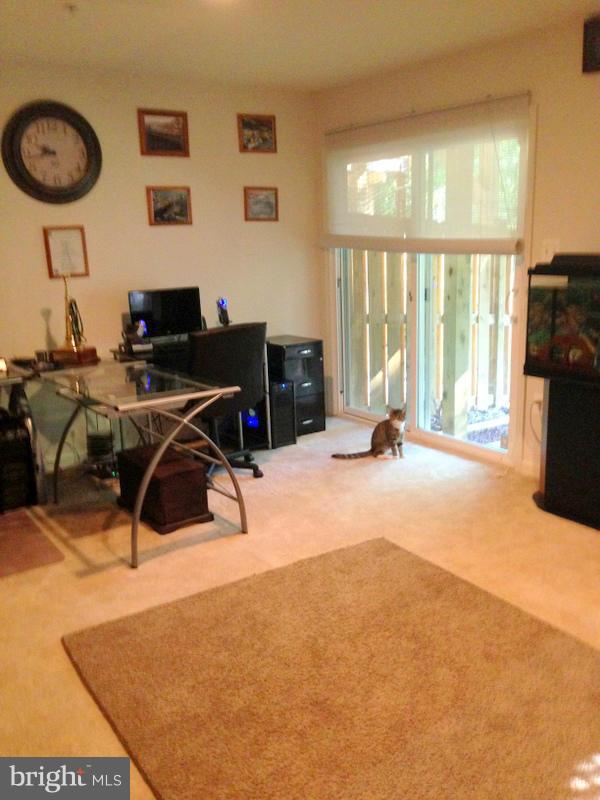 MAZEL - Residential Lease