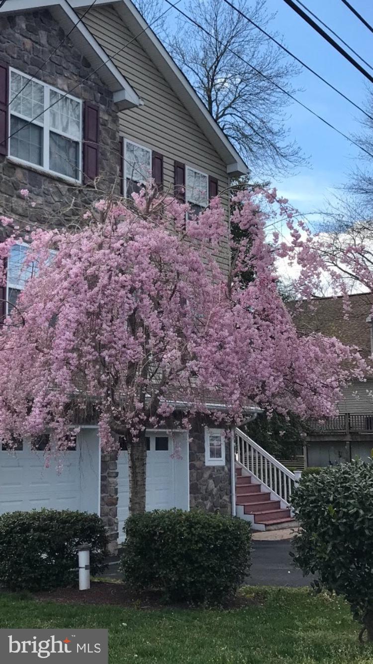 LOCUST POINT - Residential