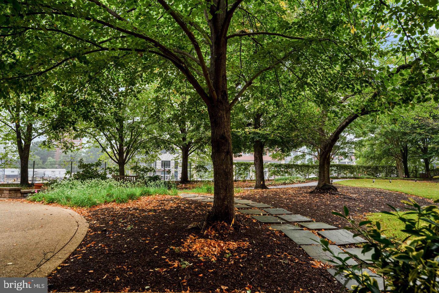 4141 N HENDERSON ROAD 1002