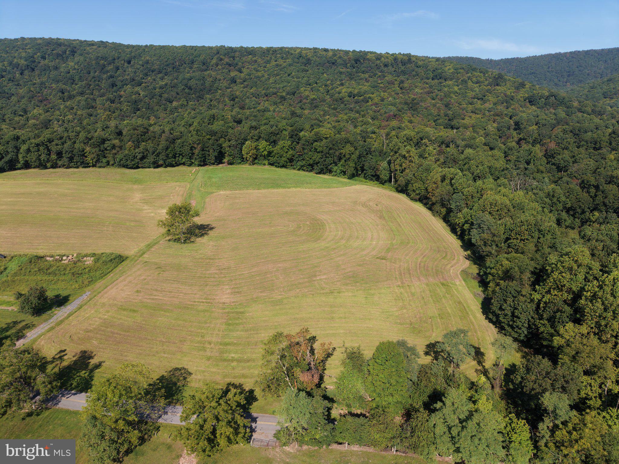 TRACT 2: 21.62+/- ACRES MOUNTAIN ROAD