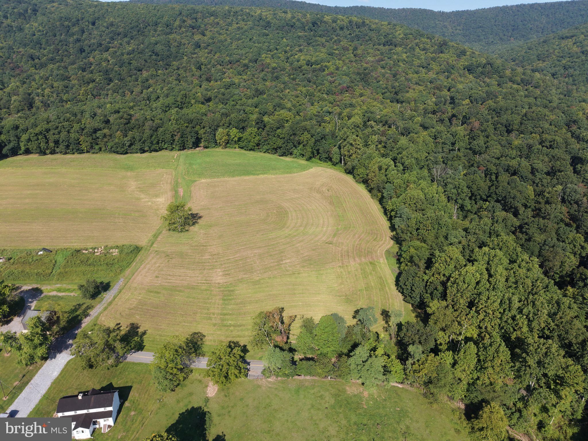 TRACT 2: 21.62+/- ACRES MOUNTAIN ROAD
