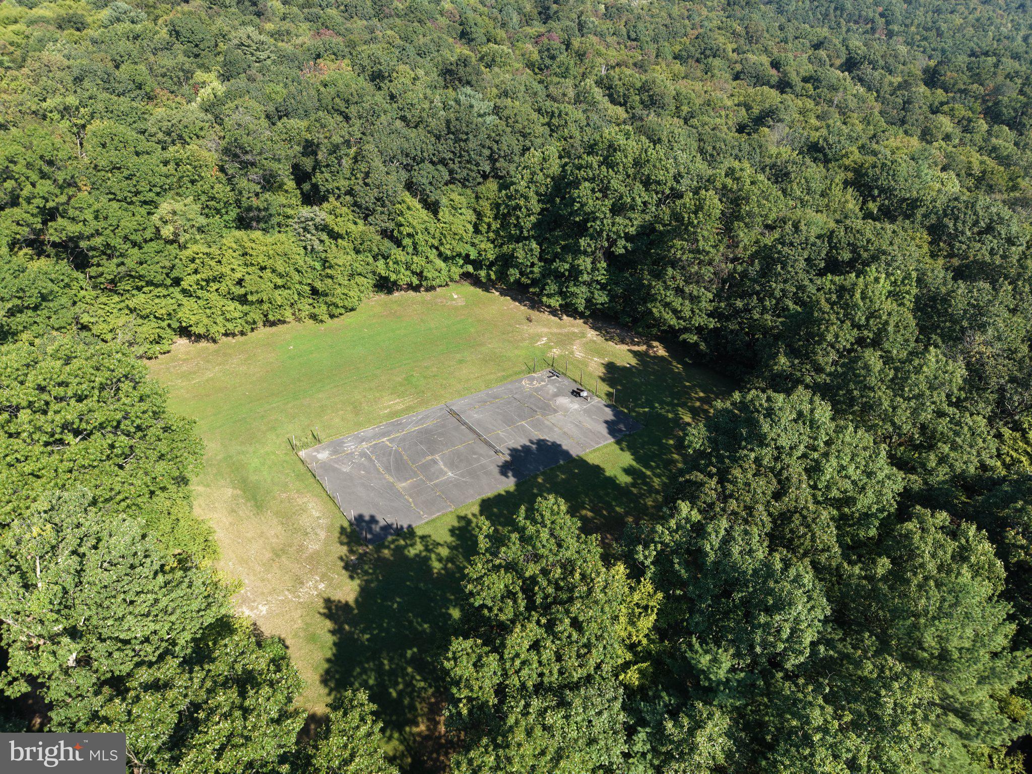 TRACT 2: 21.62+/- ACRES MOUNTAIN ROAD