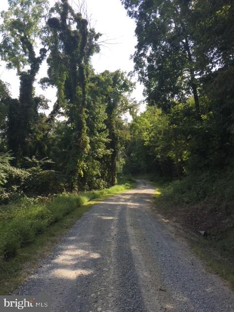 HIGH MOUNTAIN ORCHARD - Land