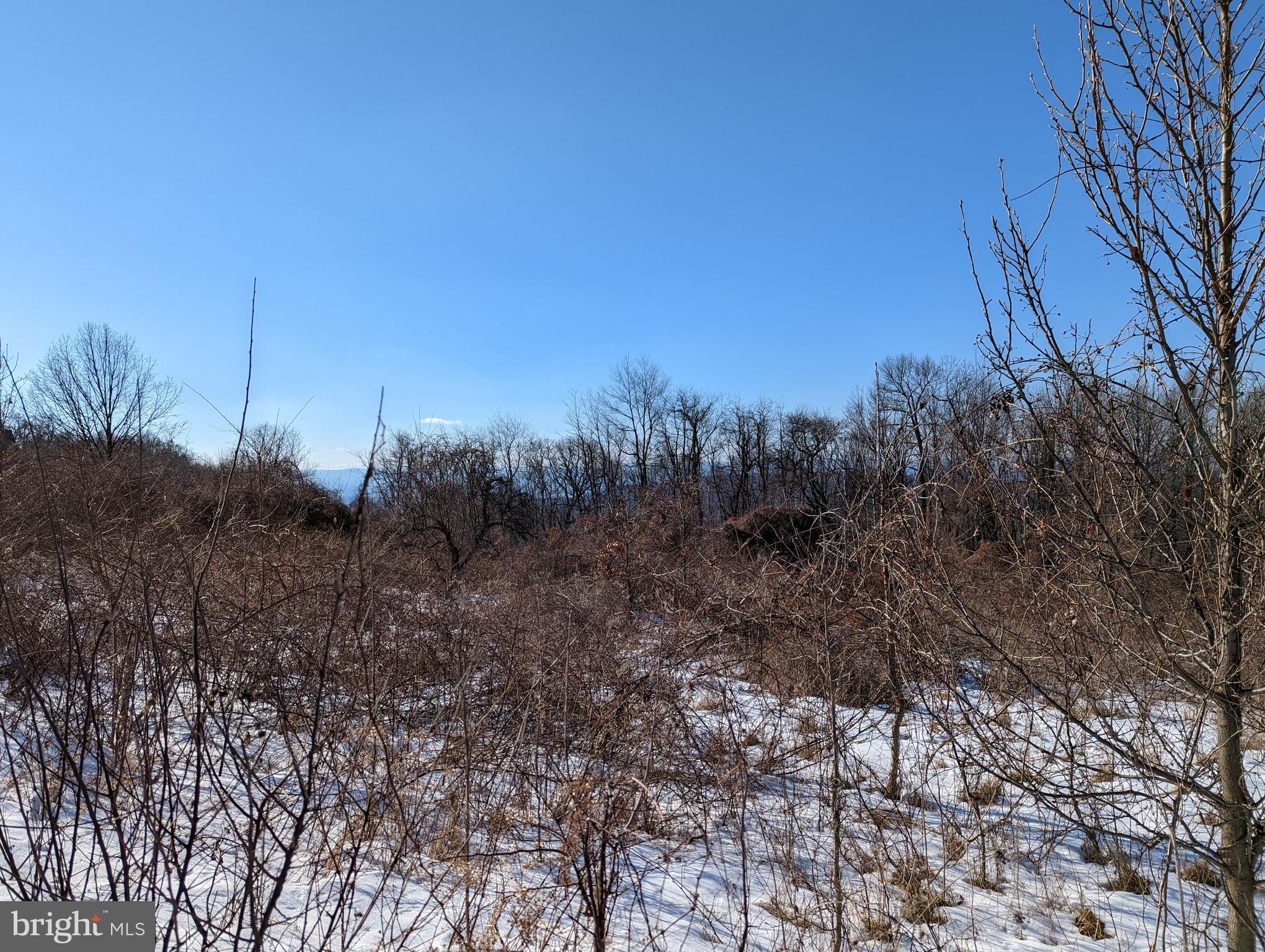 HIGH MOUNTAIN ORCHARD - Land