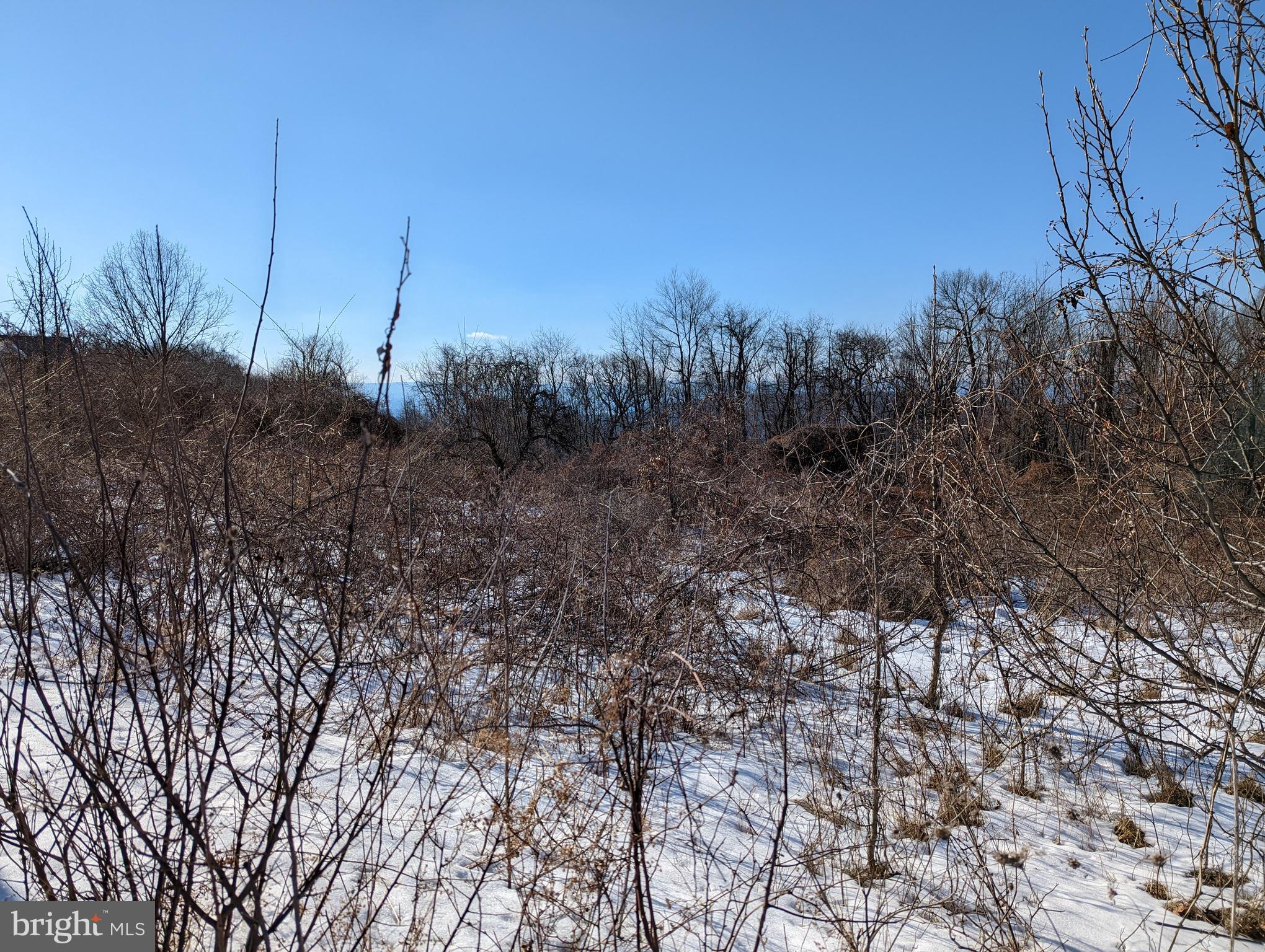 HIGH MOUNTAIN ORCHARD - Land