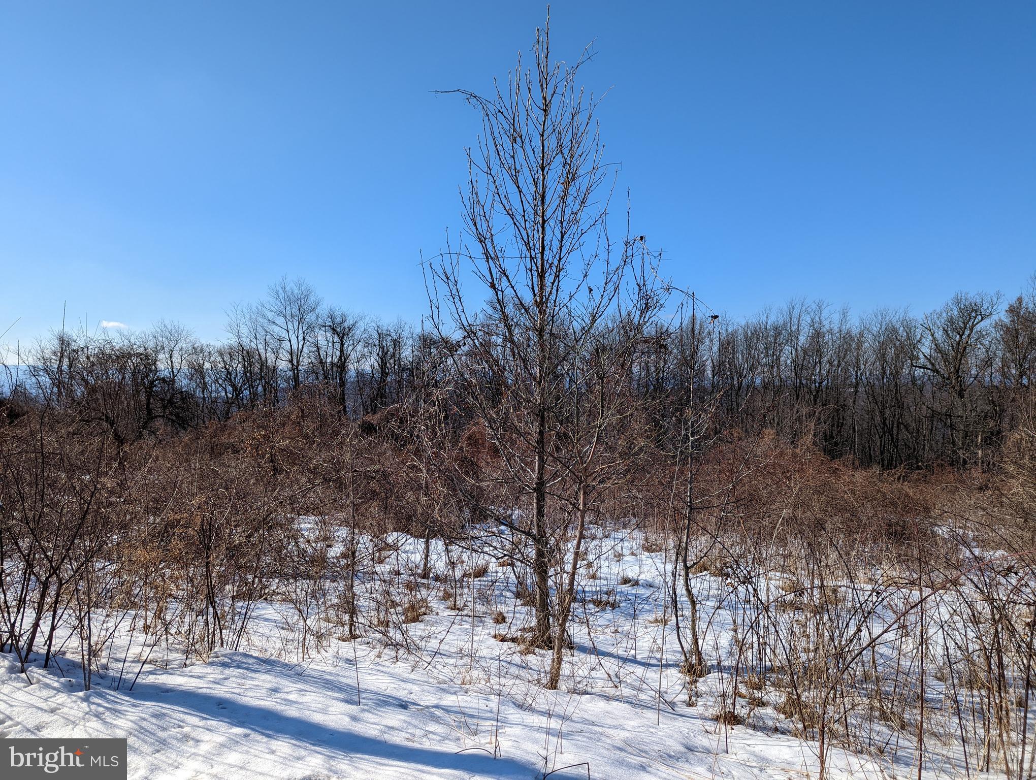 HIGH MOUNTAIN ORCHARD - Land