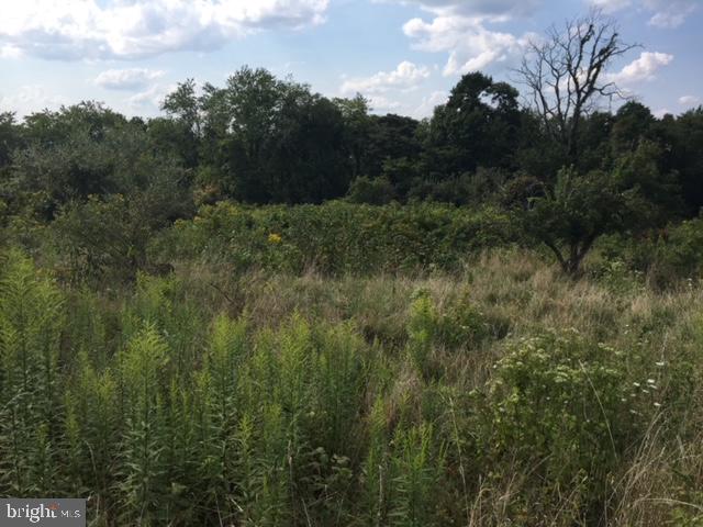 HIGH MOUNTAIN ORCHARD - Land