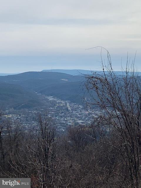 HIGH MOUNTAIN ORCHARD - Land