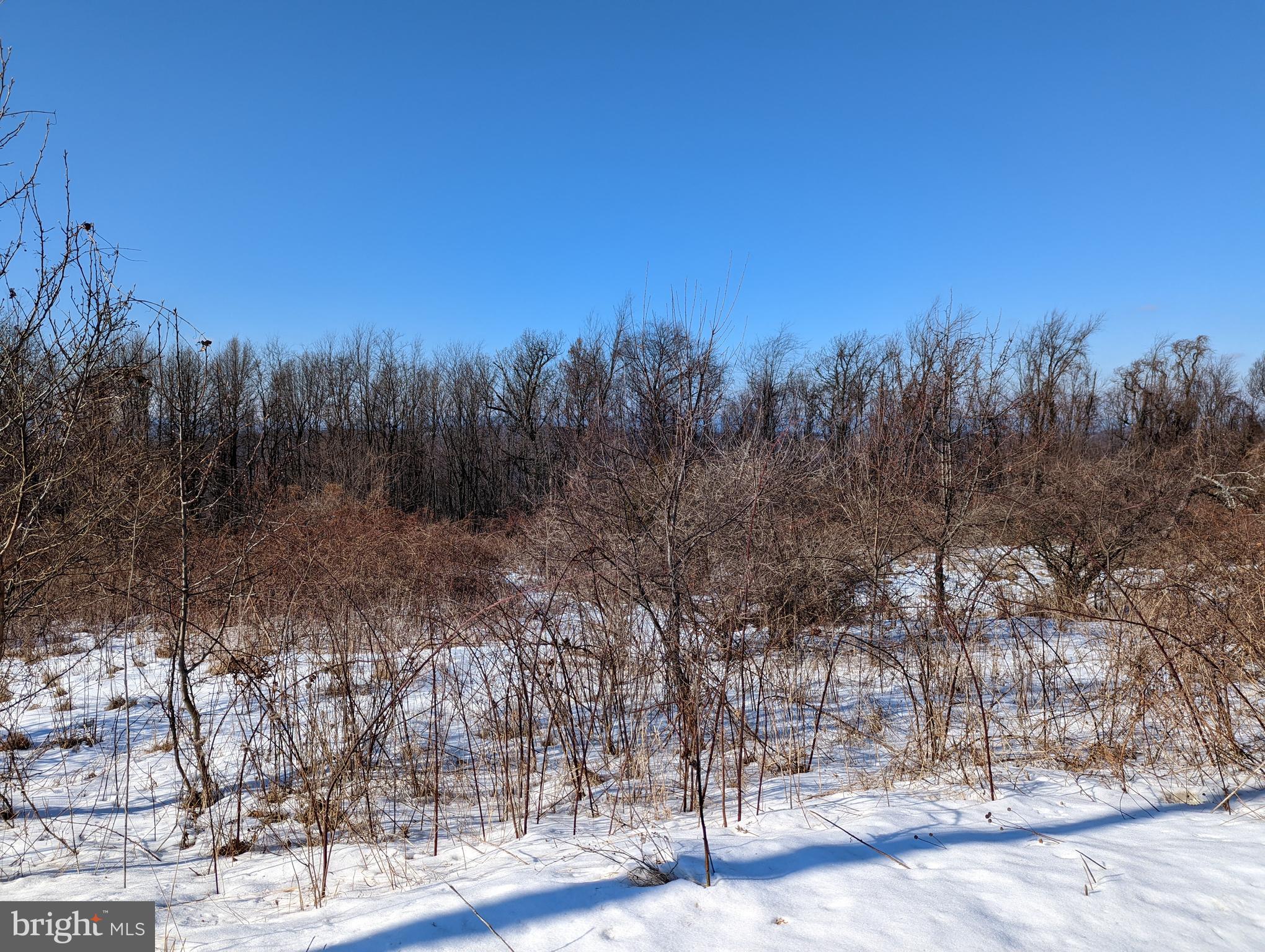 HIGH MOUNTAIN ORCHARD - Land